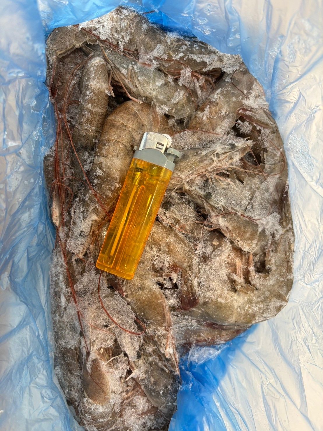 厄瓜多新鮮冷凍白蝦