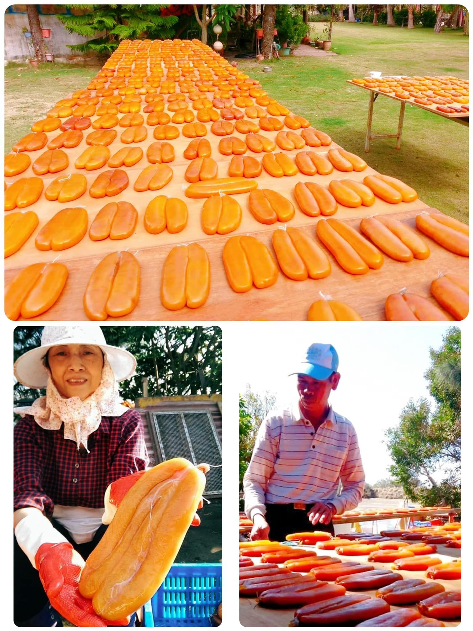 和興烏魚養殖場
