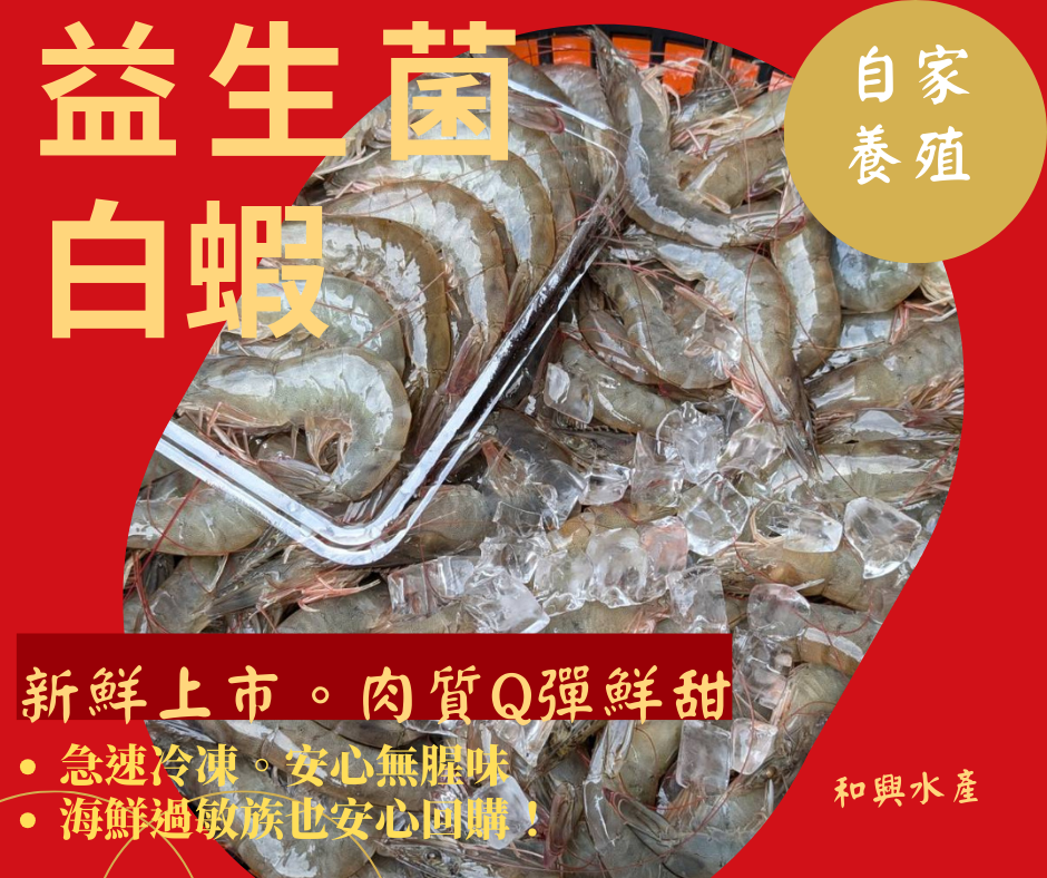 漁蝦共生 × 光合益生菌養殖白蝦