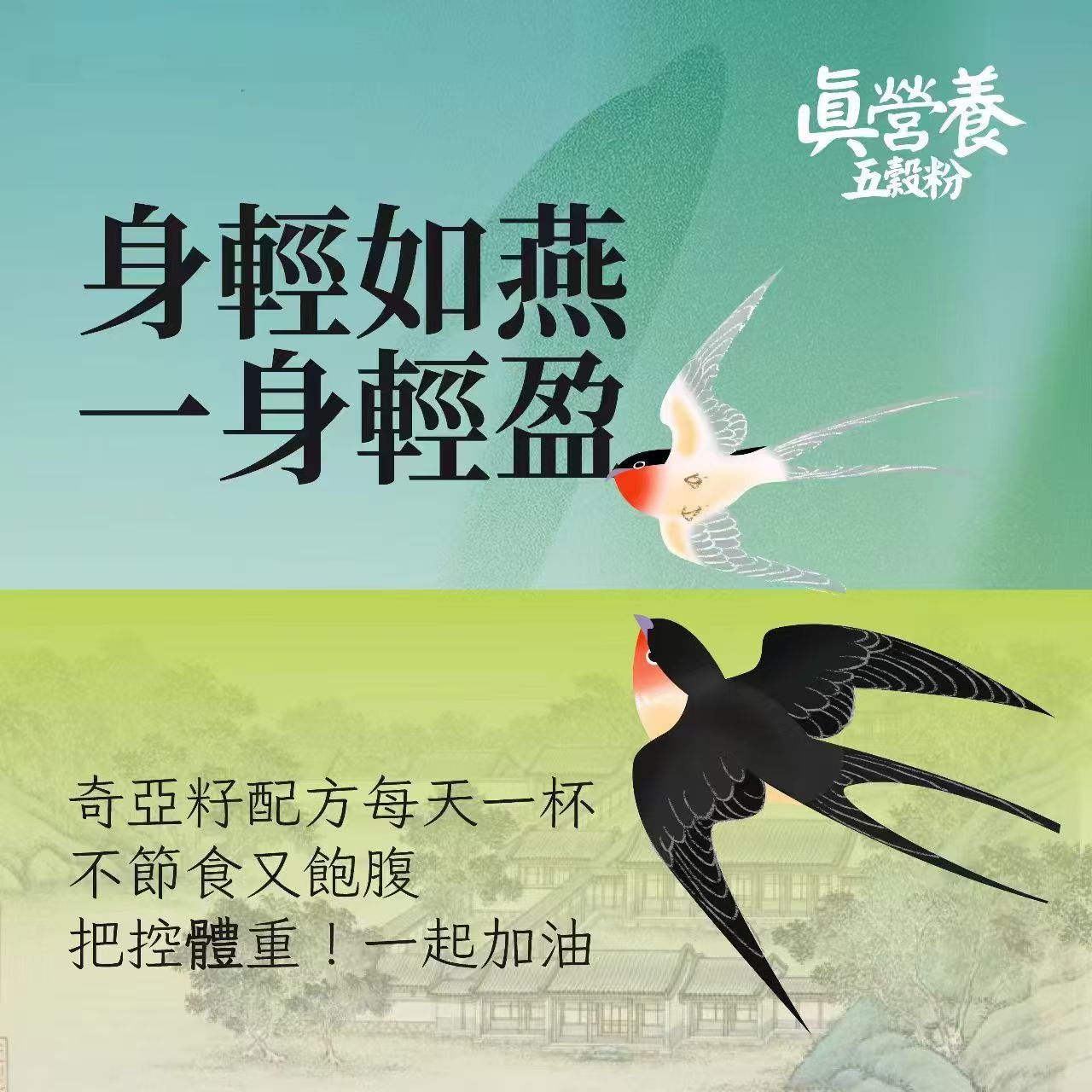 身輕如燕