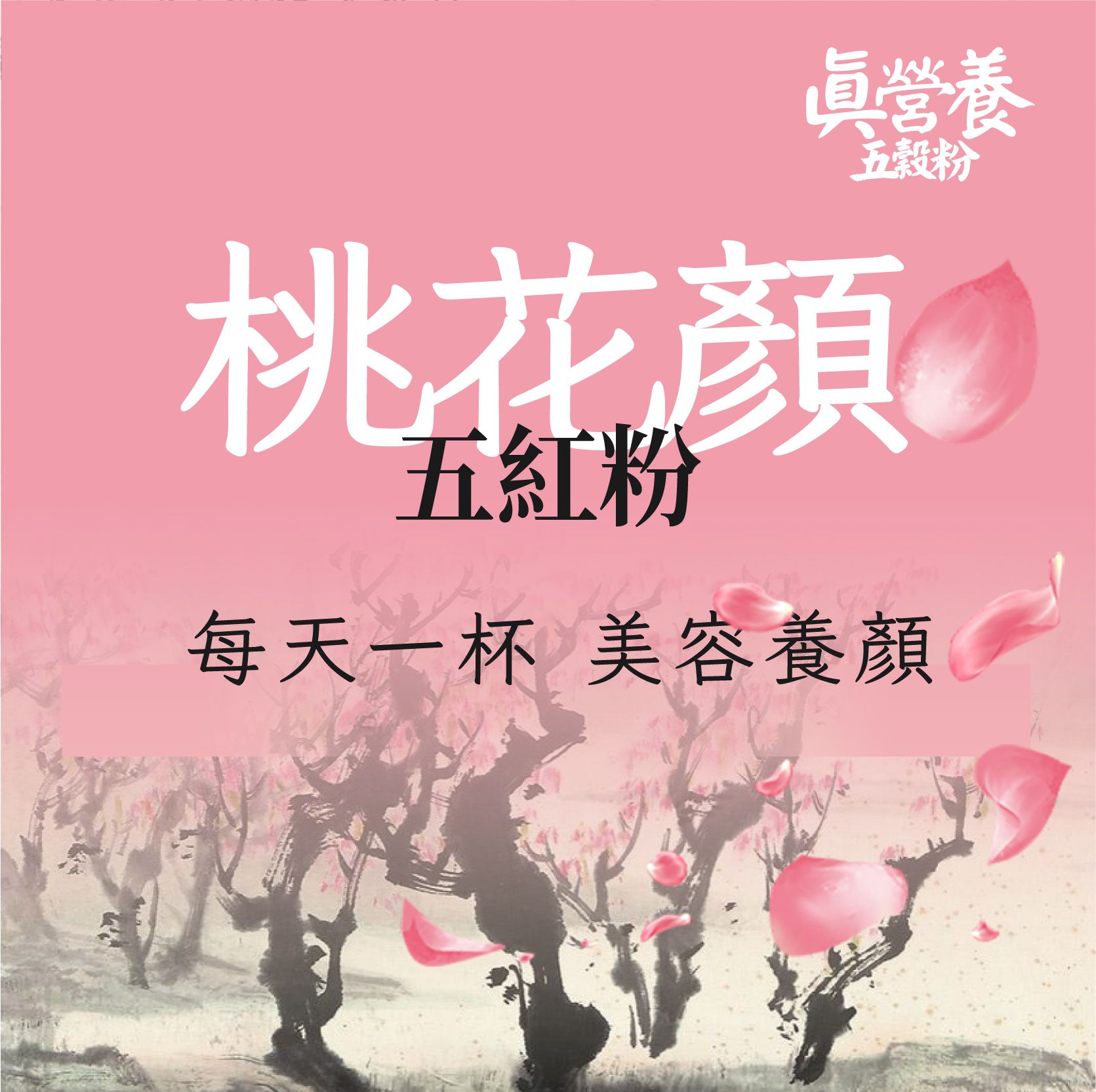 桃花顏五紅粉（紅玫瑰.紅棗.紅枸杞.紅米.紅豆）