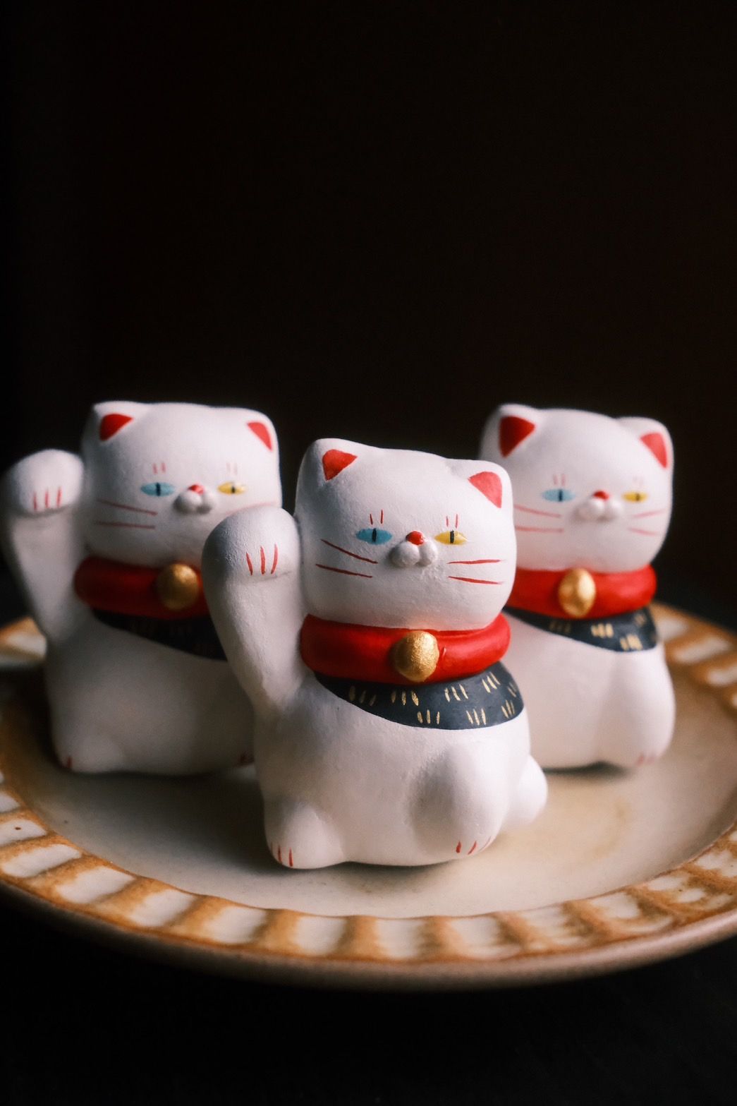 👀厭世異色瞳貓眼招財