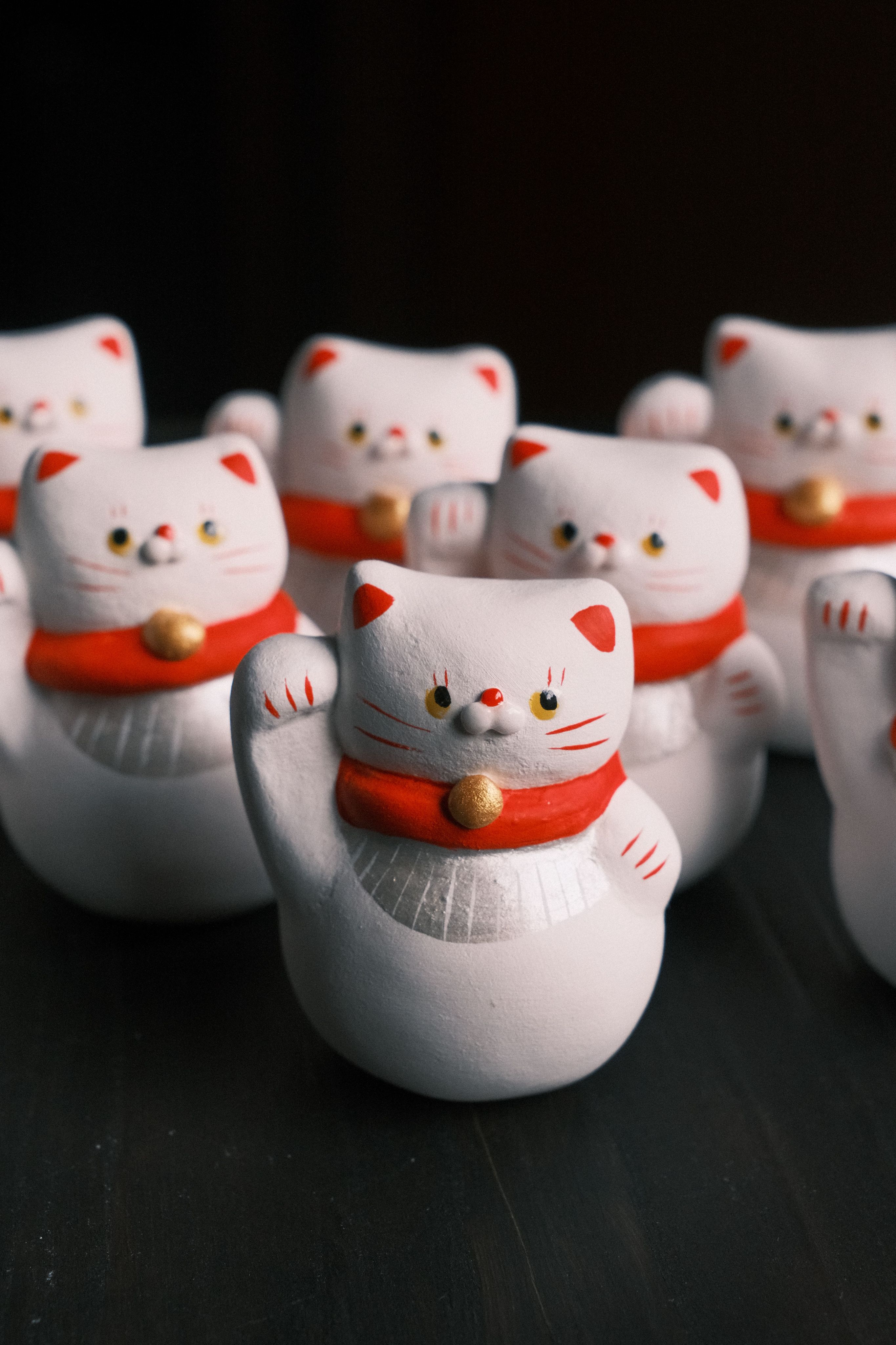 小白貓招財