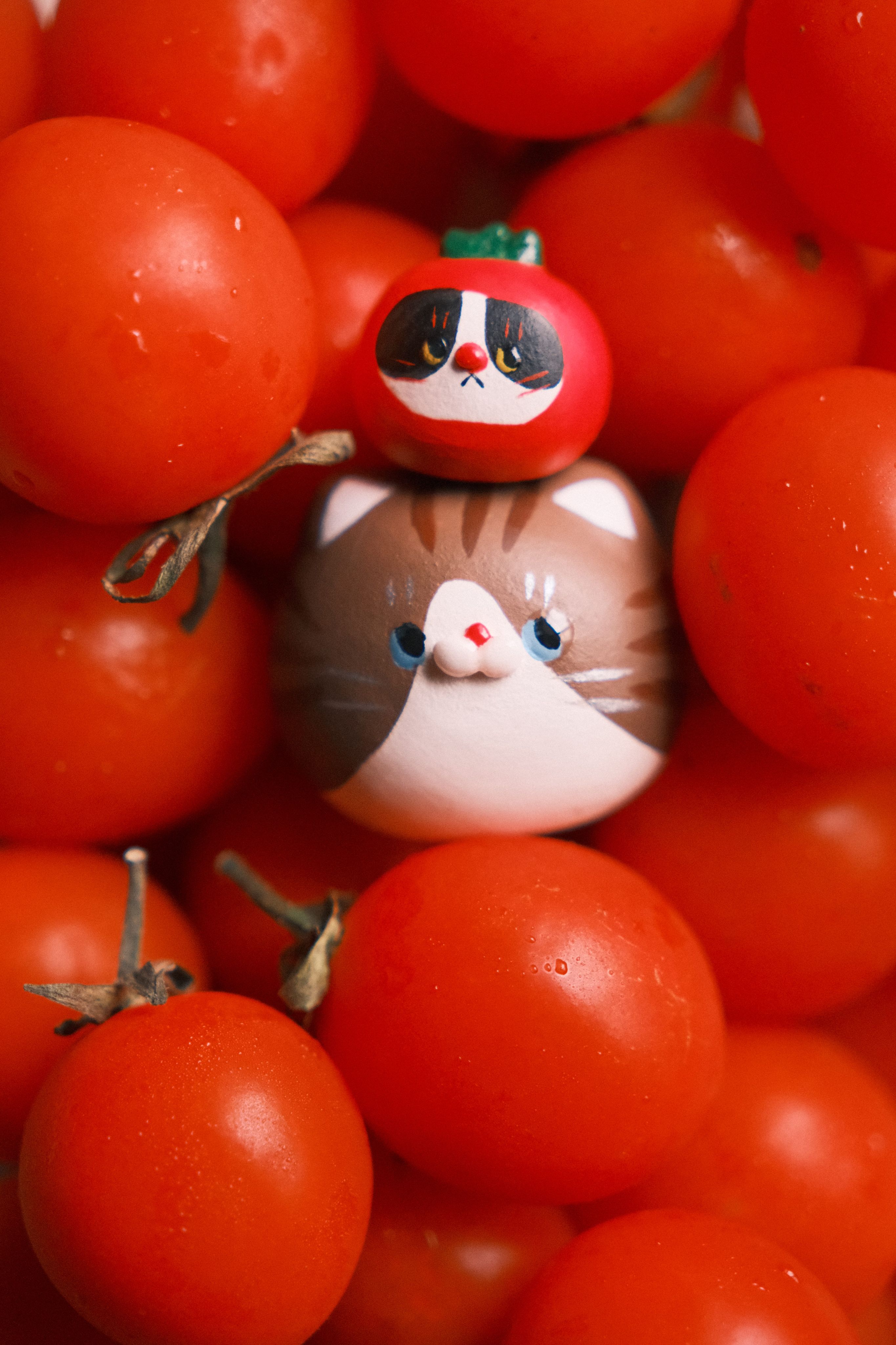 摩卡虎斑小番茄賓士🍅