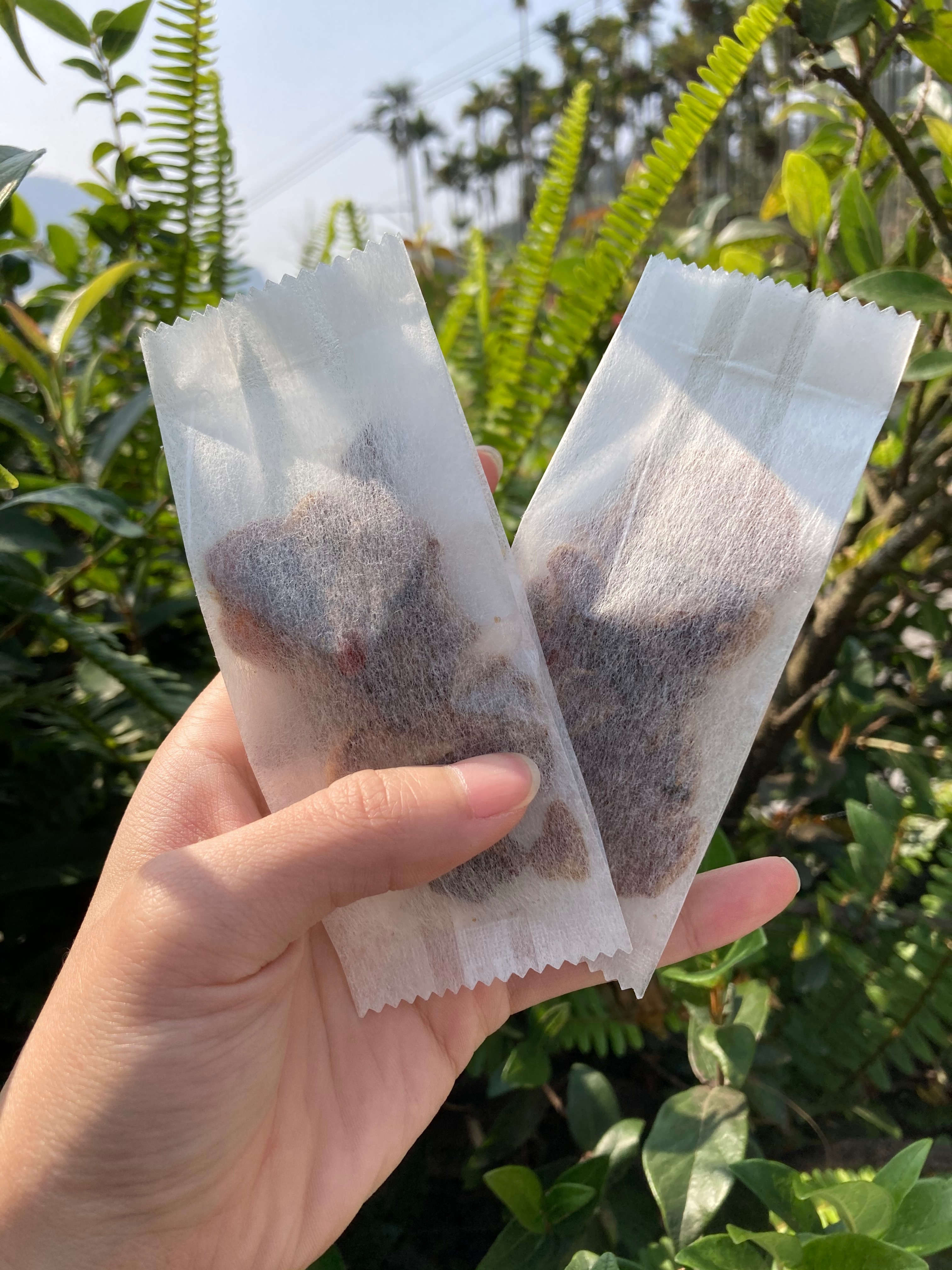 奮起湖吉食通養生薑隨身包（+桂圓枸杞喔💛）