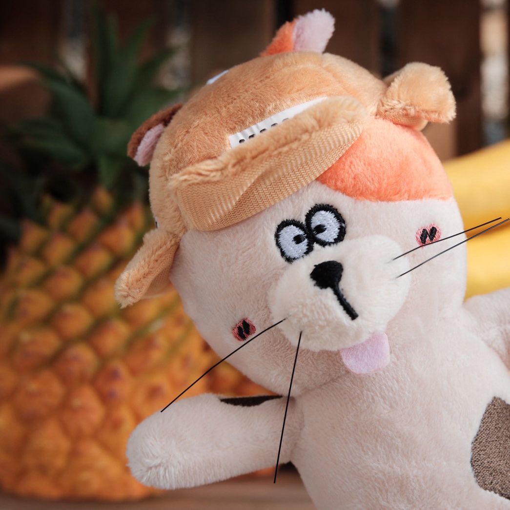 【現貨】紙箱貓醬