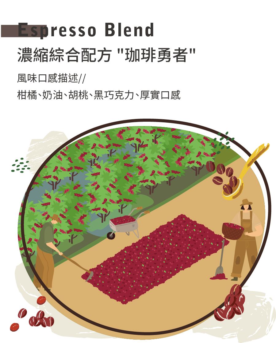 濃縮綜合配方  珈琲勇者