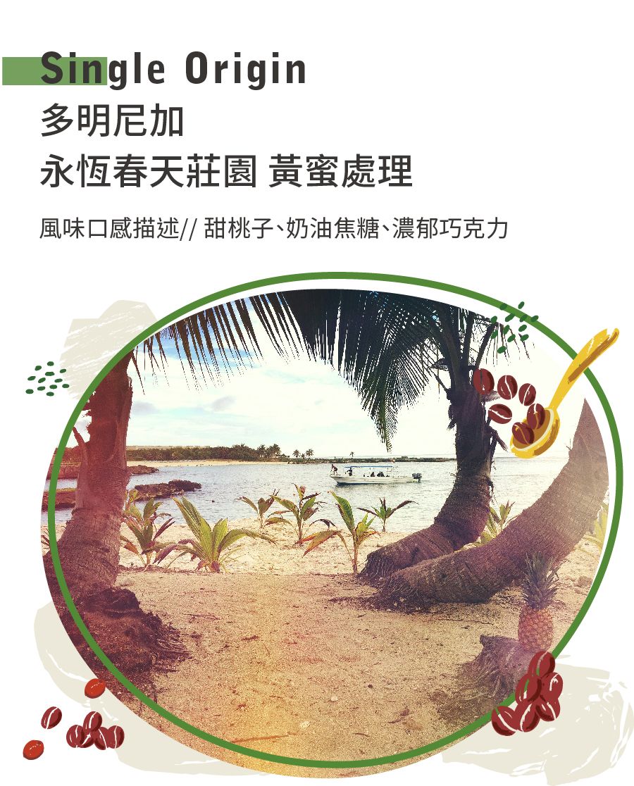 多明尼加 永恆春天莊園 黃蜜處理