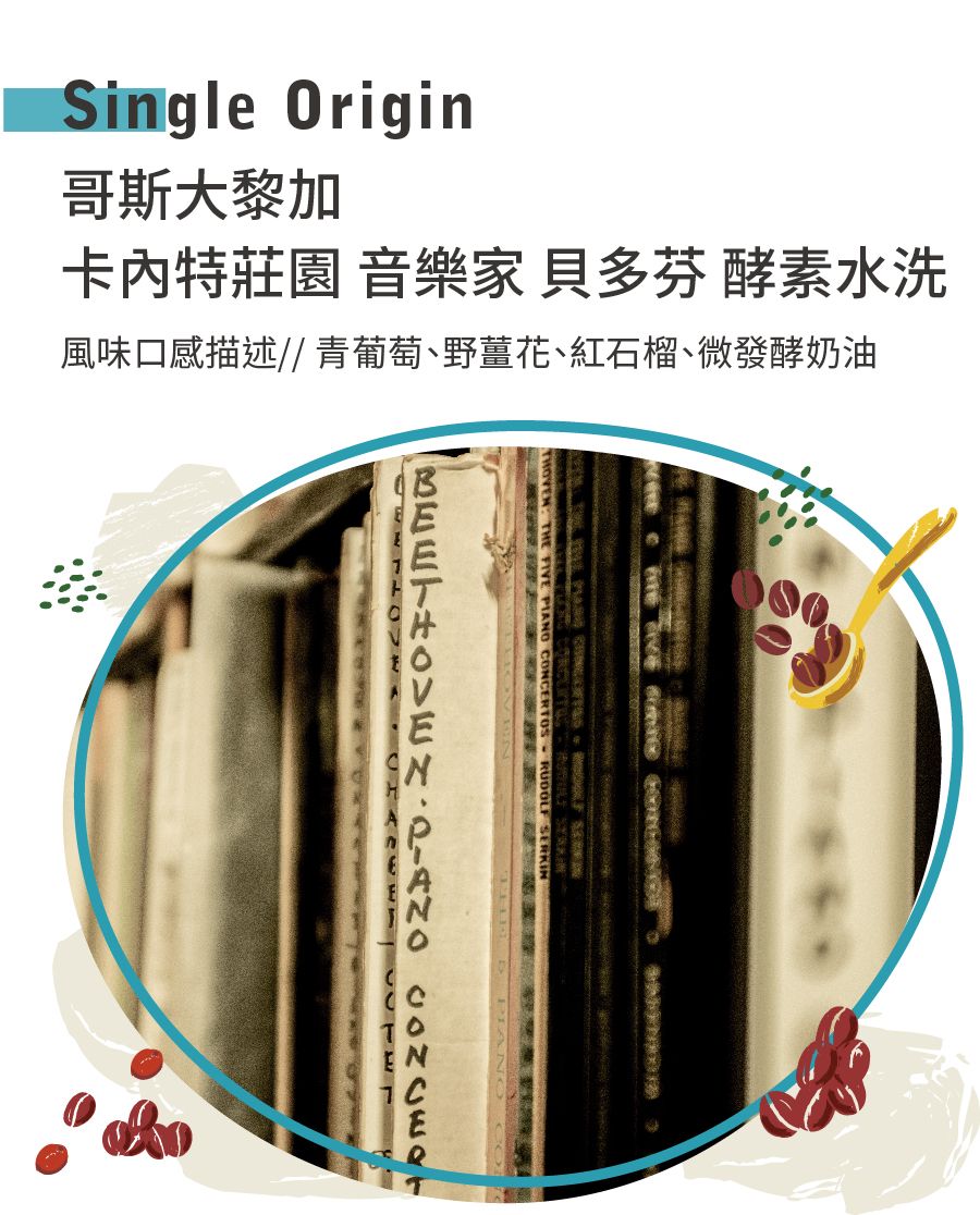 哥斯大黎加 卡內特莊園 音樂家 貝多芬 酵素水洗