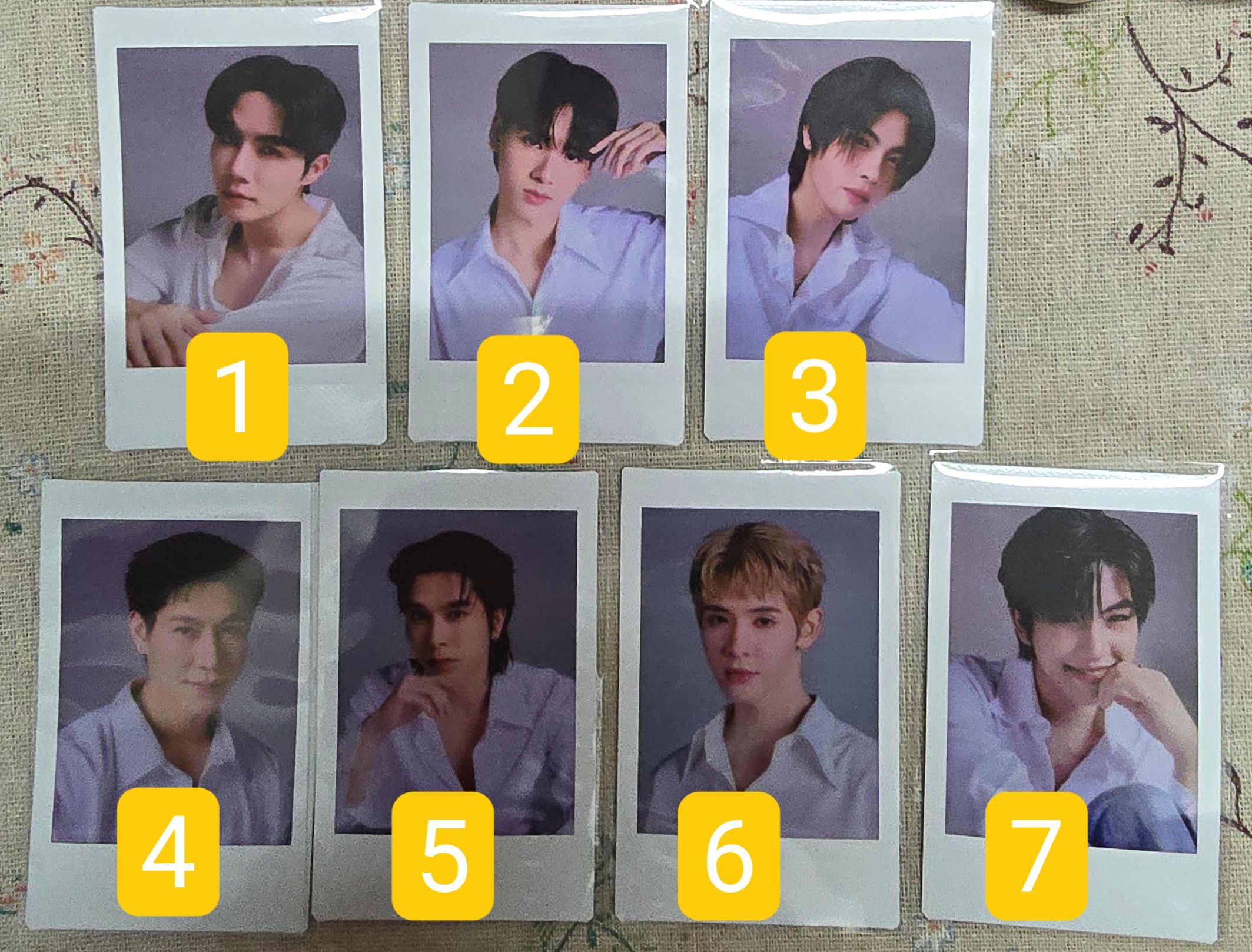 DMD官方拍立得/小卡