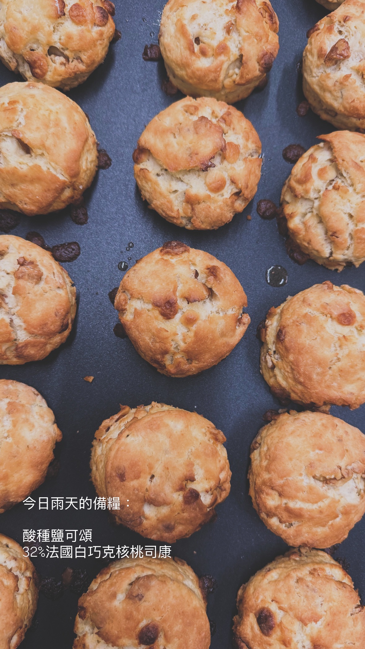 32%白巧克力核桃司康