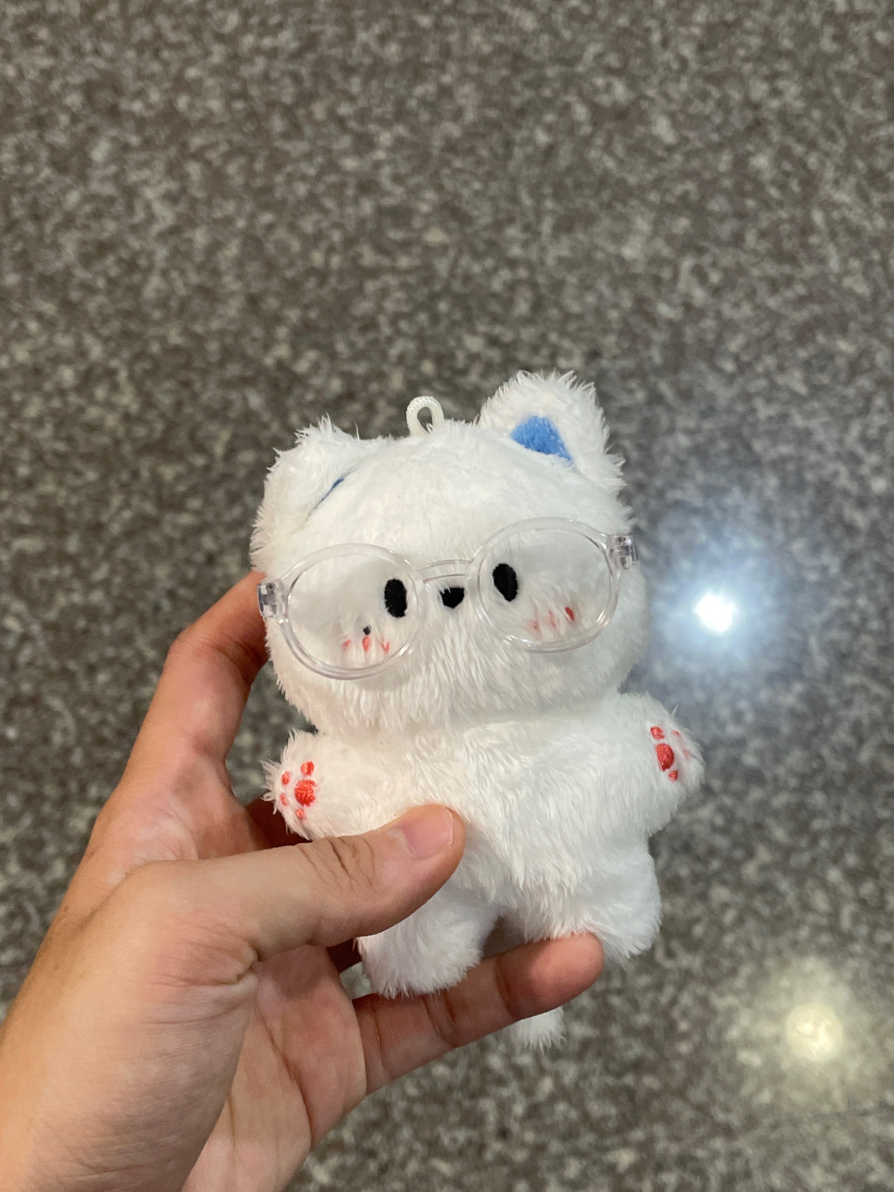 圖片 12