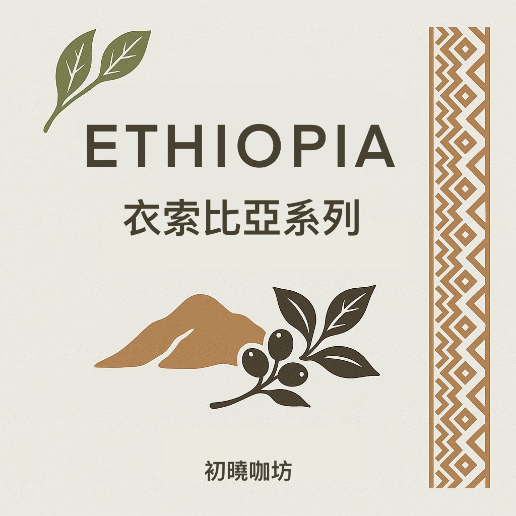 衣索比亞 淺焙系列