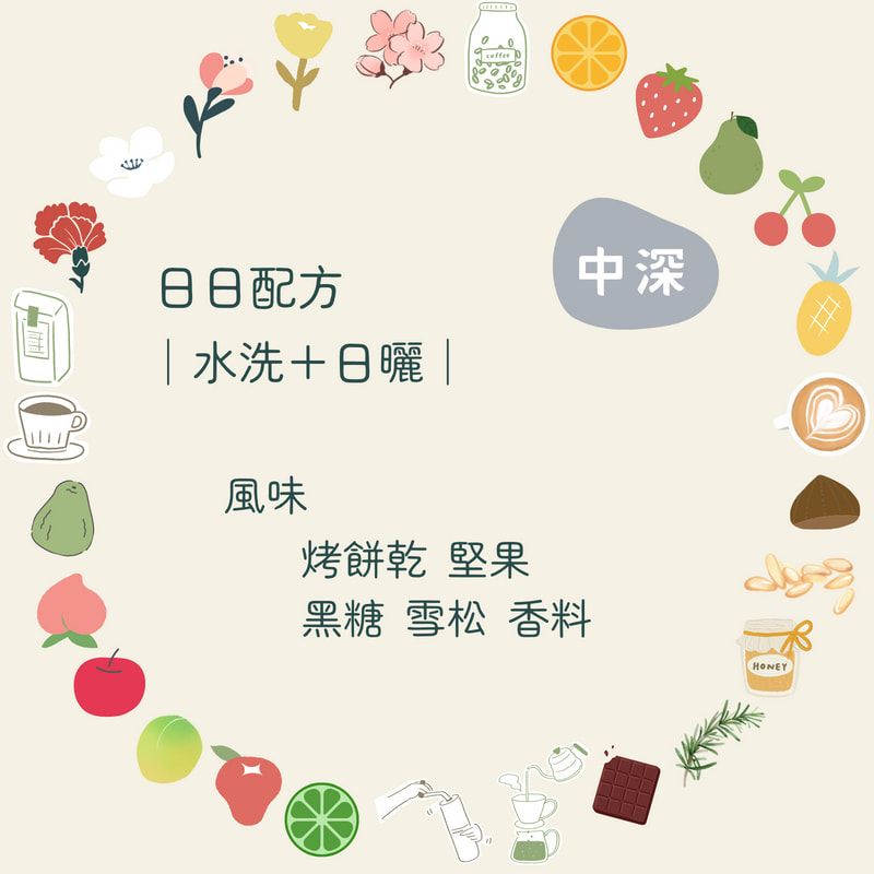 咖啡豆｜日日配方【水洗＋日曬】