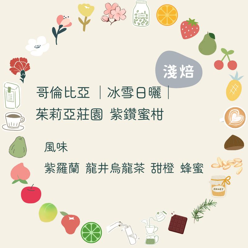 咖啡豆｜哥倫比亞 茱莉亞莊園 紫鑽蜜柑【冰雪日曬】