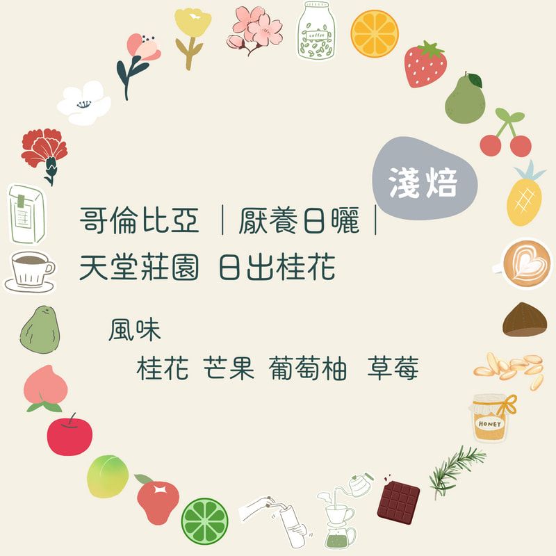咖啡豆｜哥倫比亞 天堂莊園 日出桂花【厭氧日曬】