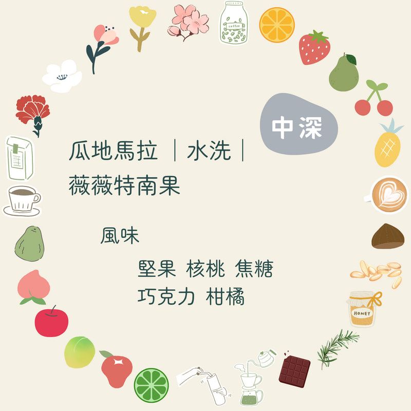 咖啡豆｜瓜地馬拉 薇薇特南果【水洗】