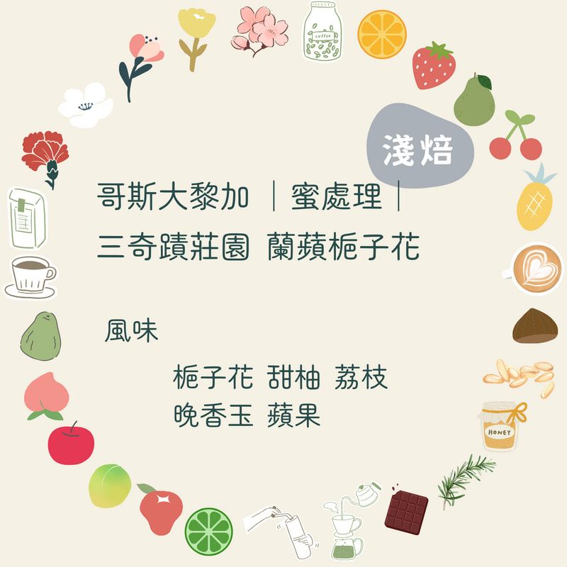 咖啡豆｜哥斯大黎加 三奇蹟莊園 蘭蘋梔子花【蜜處理】