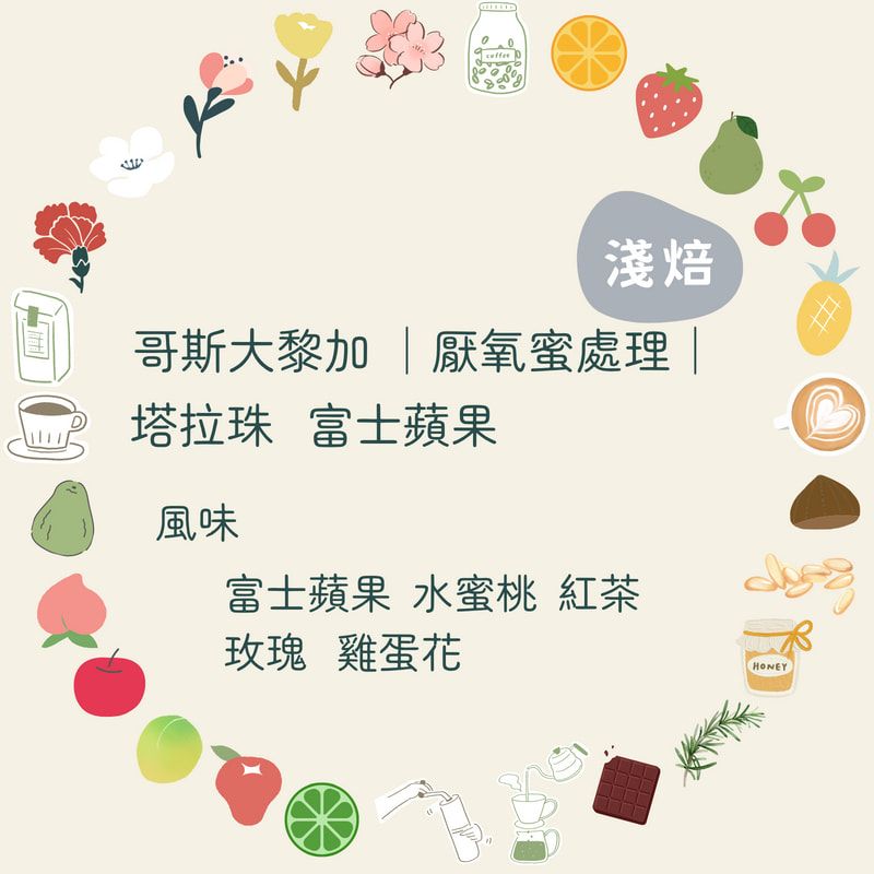 咖啡豆｜哥斯大黎加 塔拉珠 富士蘋果【厭氧蜜處理】