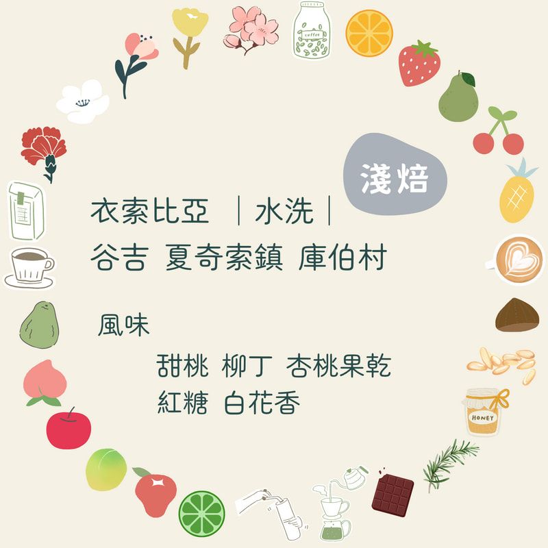 咖啡豆｜衣索比亞 谷吉 夏奇索鎮 庫柏村【水洗】