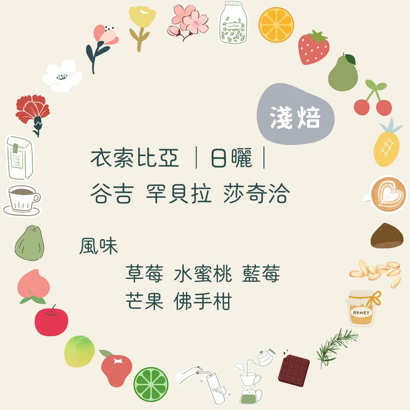 咖啡豆｜衣索比亞 谷吉 罕貝拉 沙奇洽【日曬】