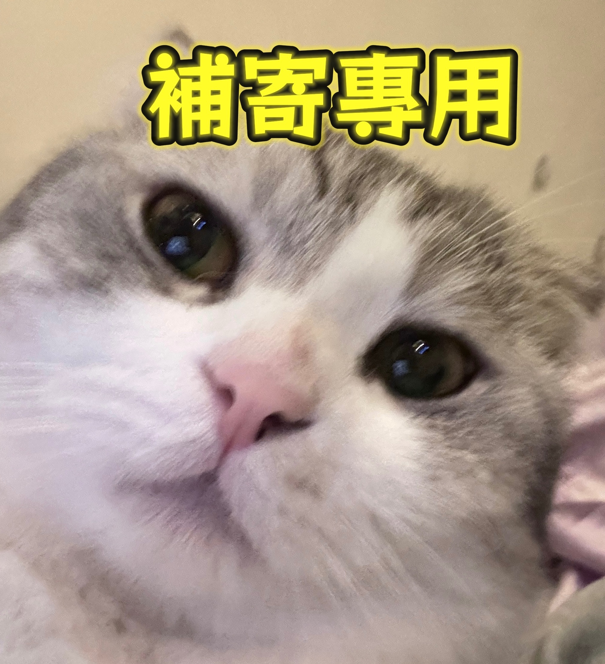 勿下單⚠️補寄專用⚠️