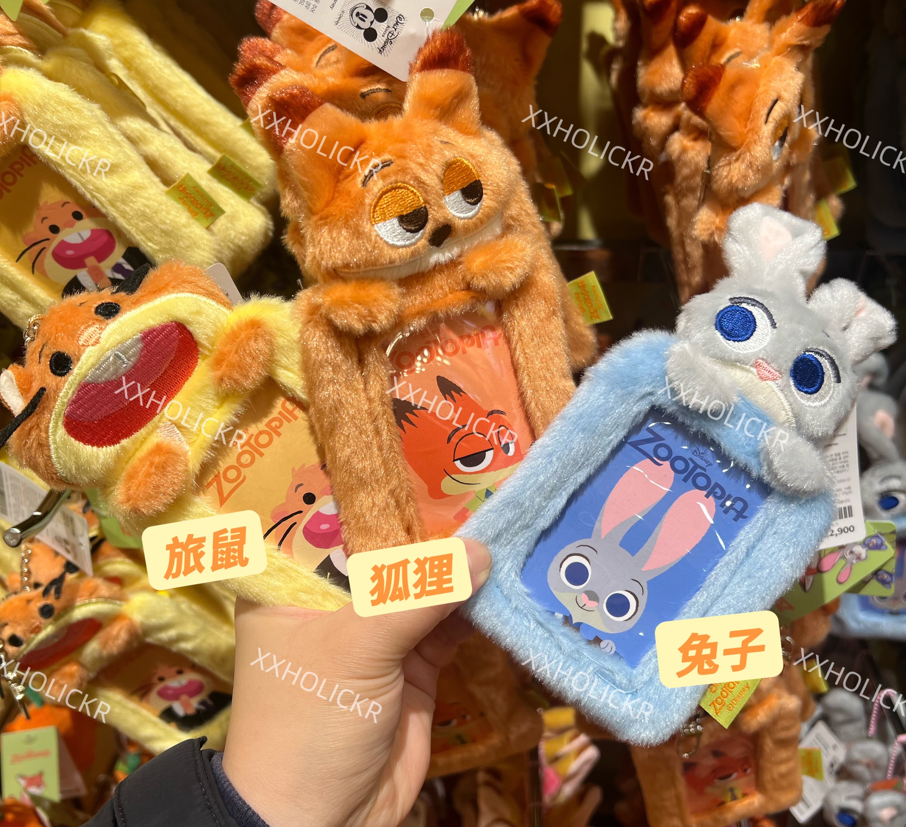 動物方程式聯名