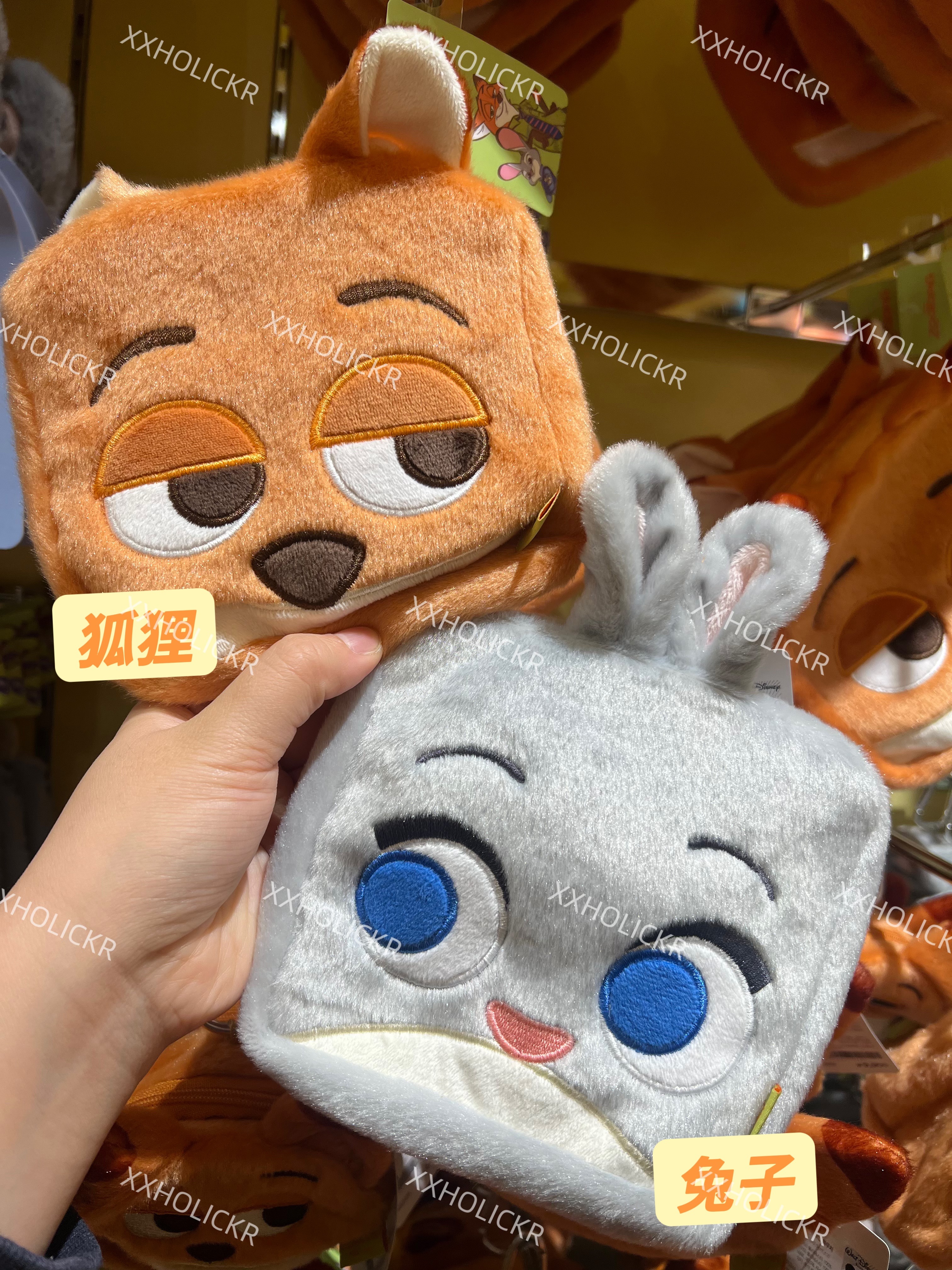 動物方程式聯名