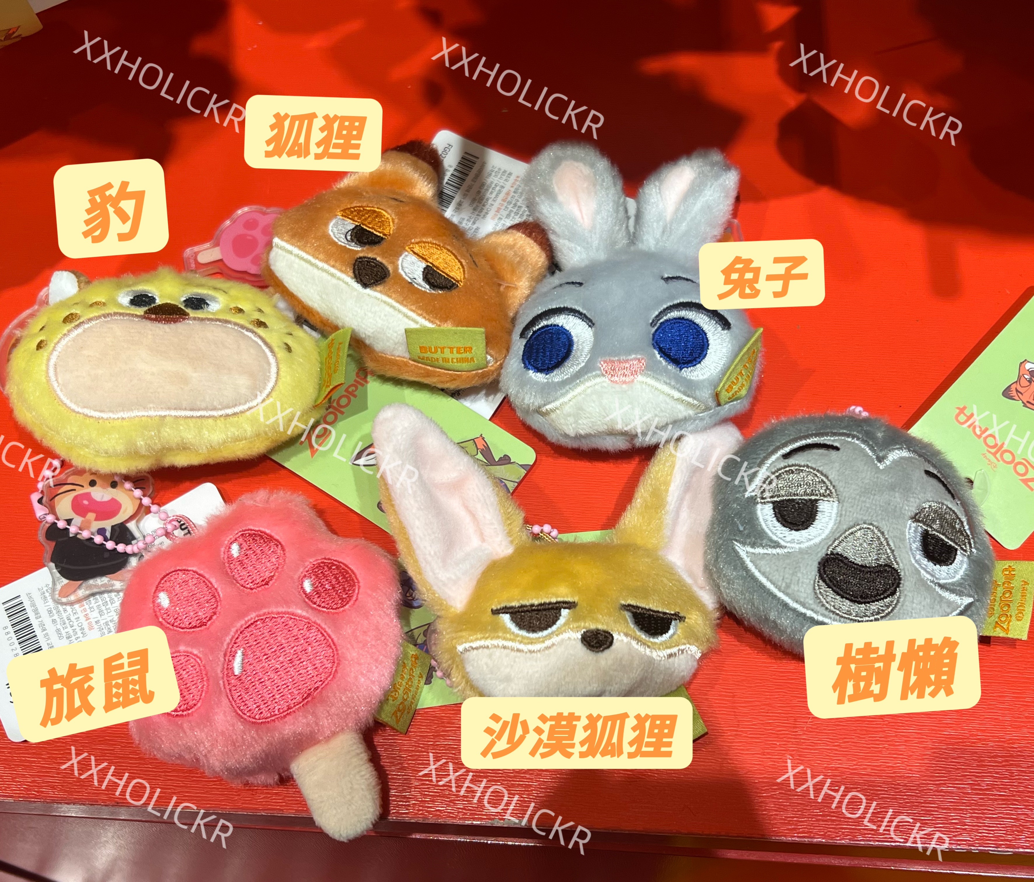 動物方程式聯名