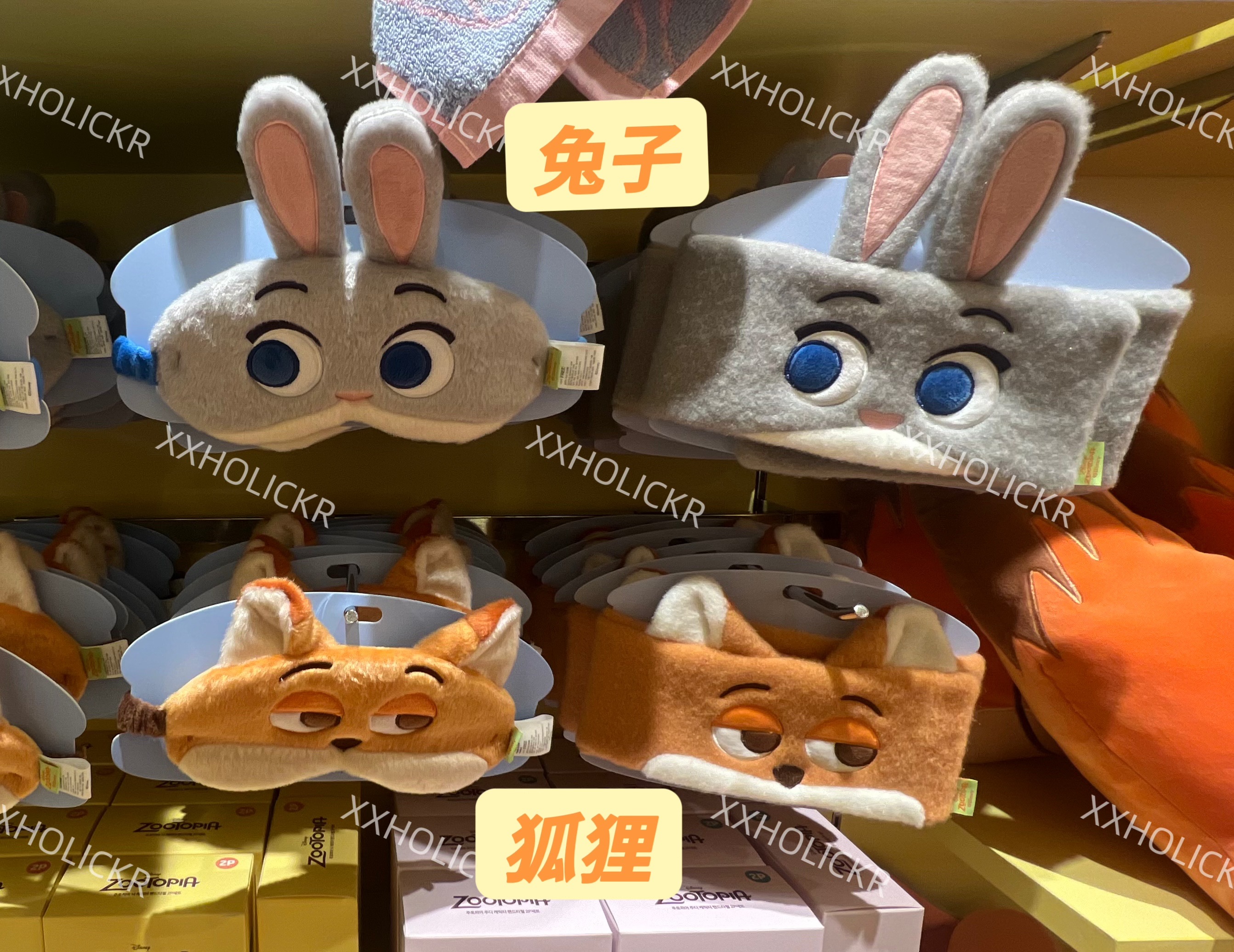 動物方程式聯名