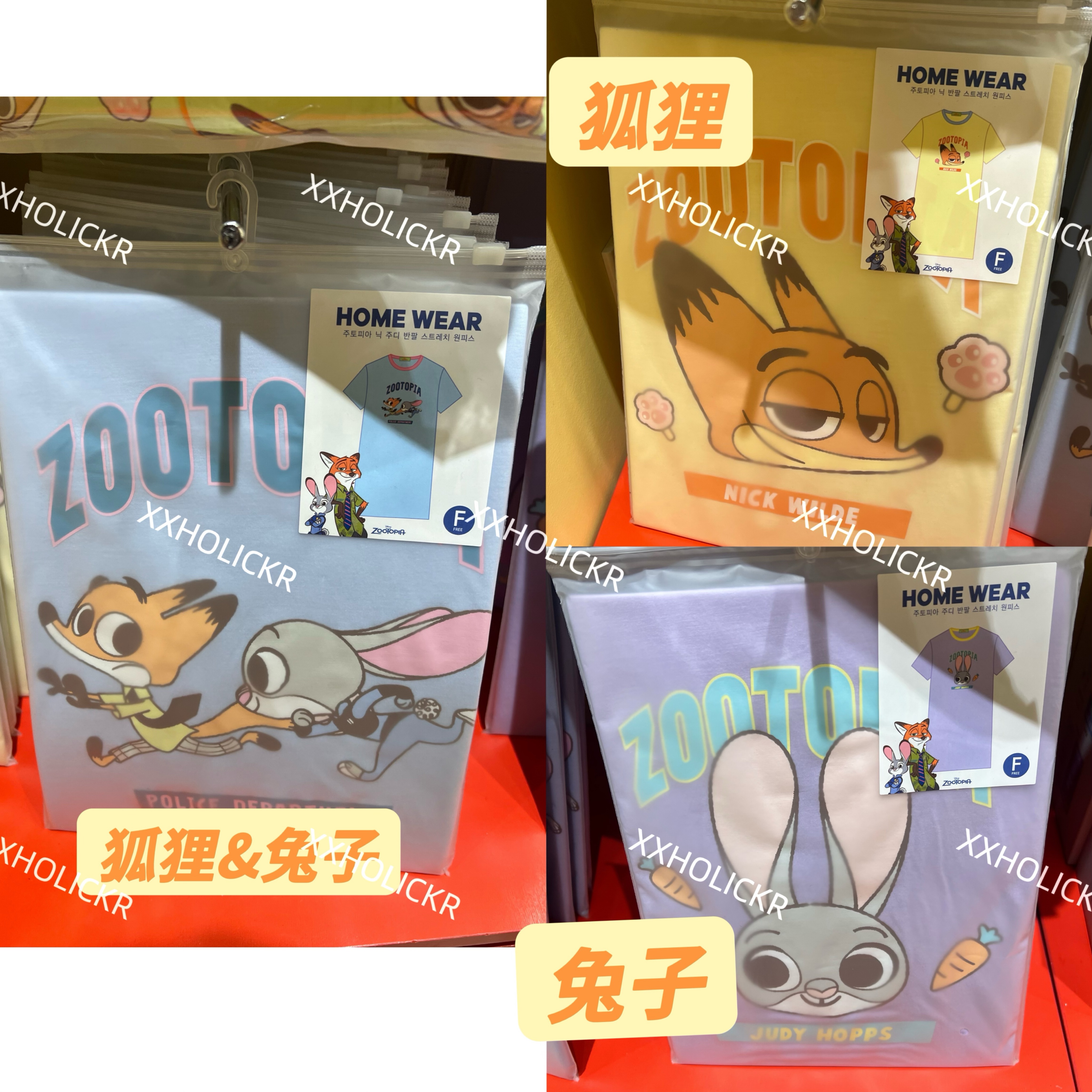 動物方程式聯名