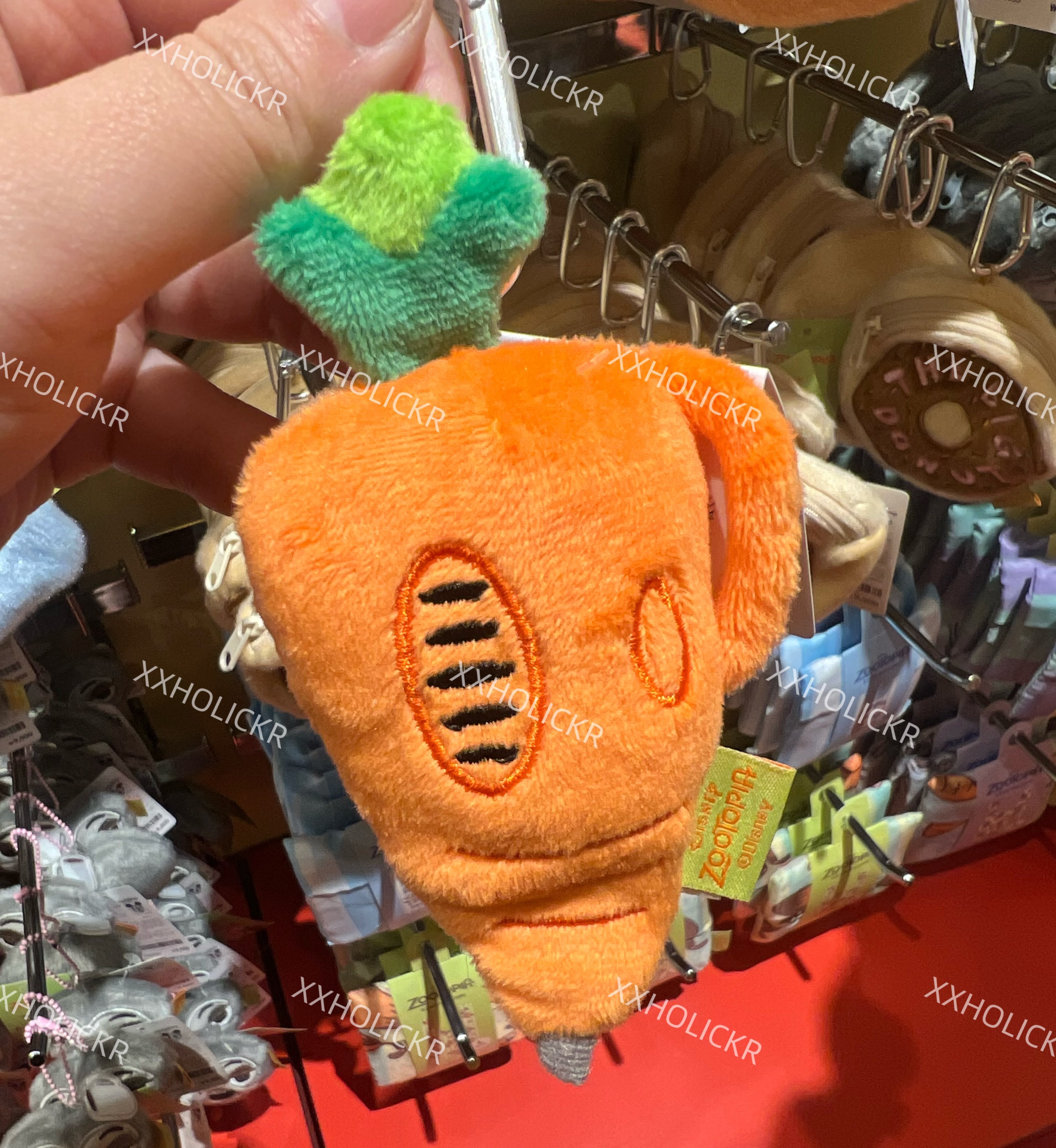 動物方程式聯名
