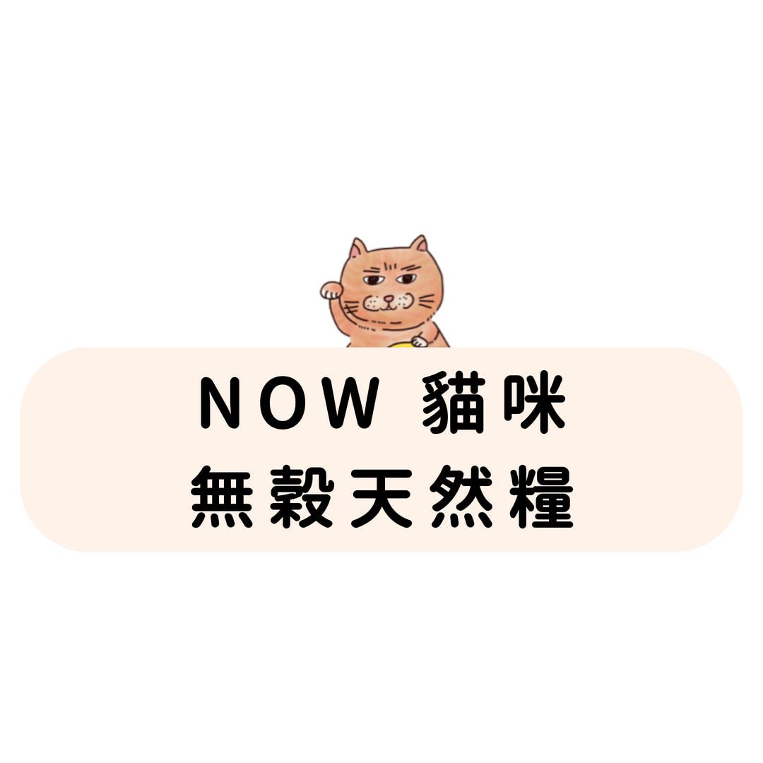 全預購｜NOW 貓咪 無穀天然糧