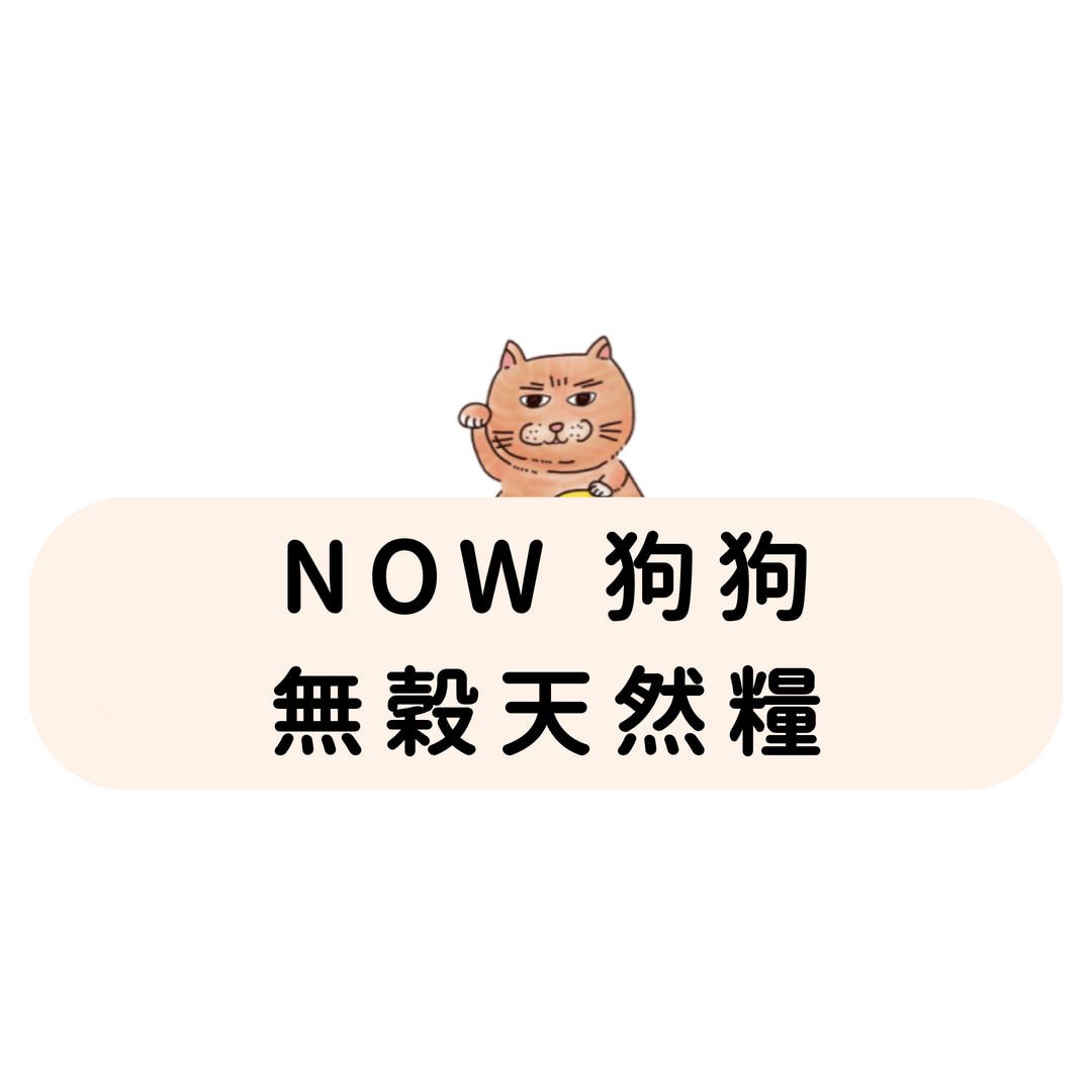 全預購｜NOW 狗狗 無穀天然糧