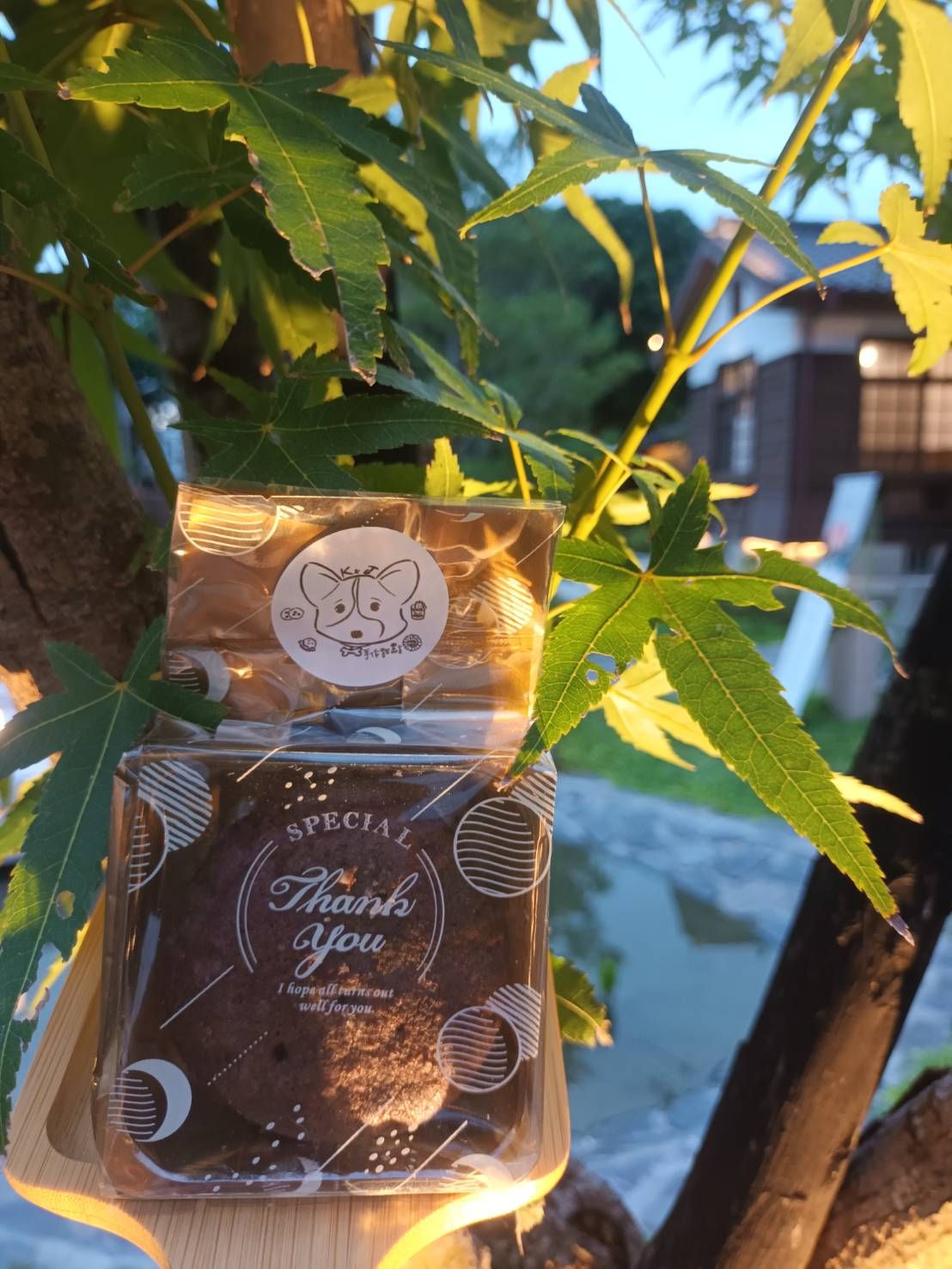 巧克力控必吃！法芙娜可可鹽之花，濃郁巧克力與微鹹之美，口感絕妙，讓你欲罷不能！