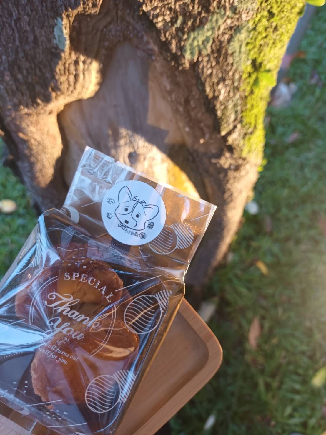 濃郁奶香！依思尼布列塔尼酥餅，好評推薦！鹽之花與中雙糖的完美交織