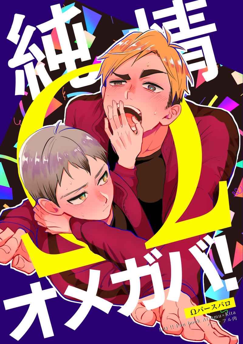 日版HQ排球少年同人誌-宮侑北信介（侑北）/ピスエン【純情オメガバ！】