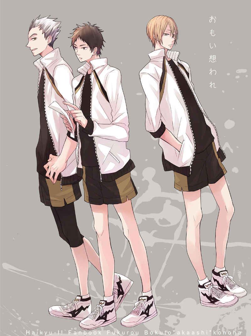 日版HQ排球少年同人誌-木兔赤葦（兔赤）/ +plus【おもい想われ】