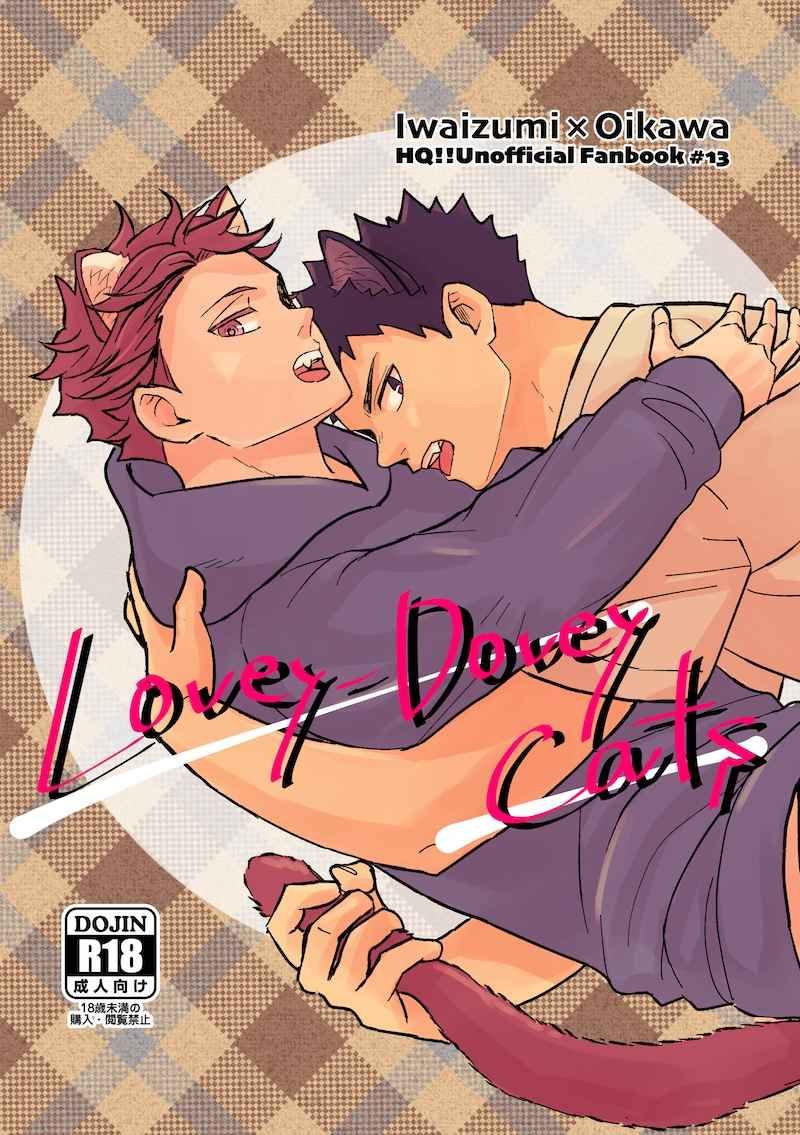日版HQ排球少年同人誌-岩泉及川（岩及）/カタトキ【Lovey Dovey Cats】