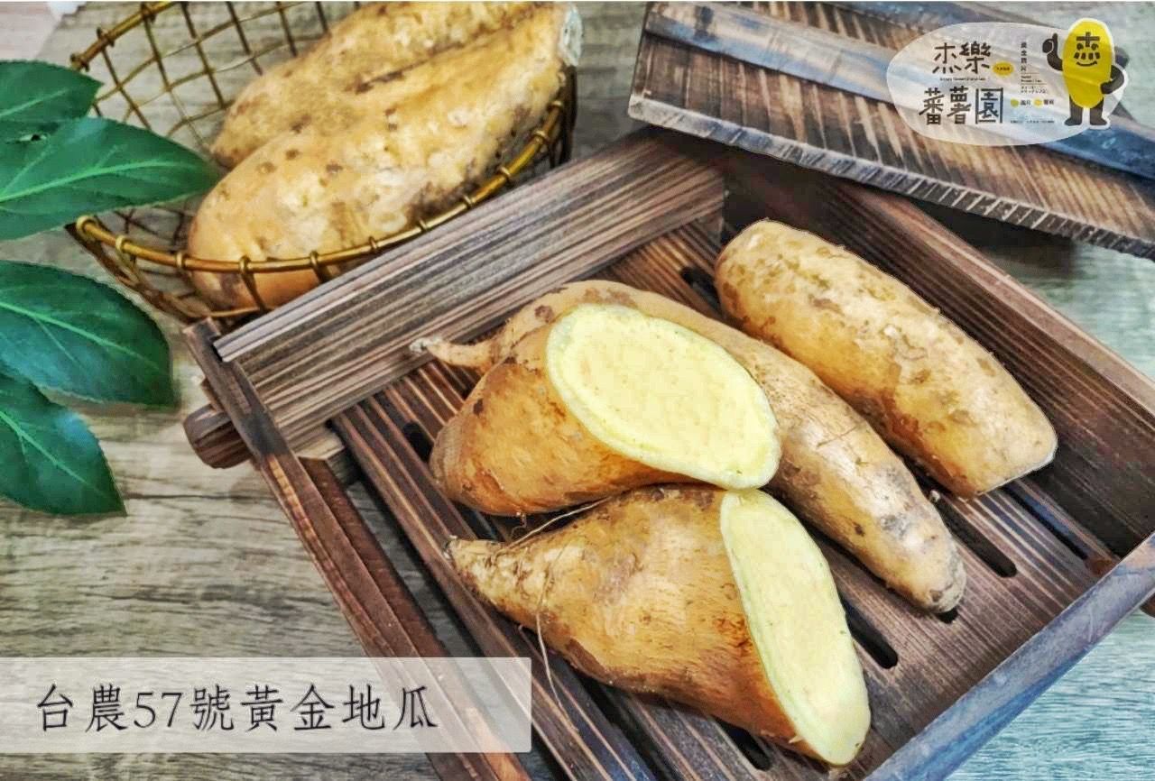 台農57號黃色生鮮地瓜