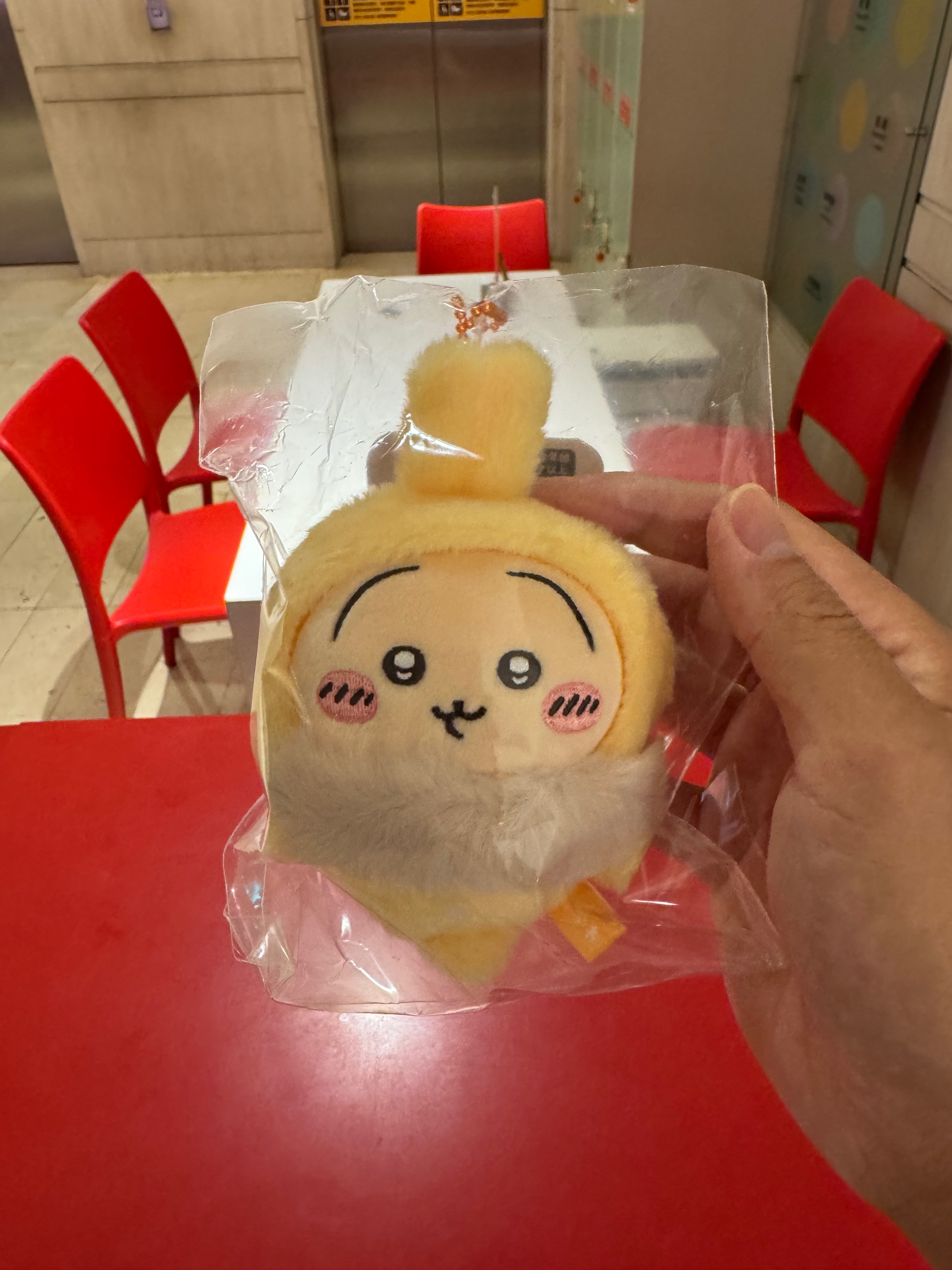 冬日兔