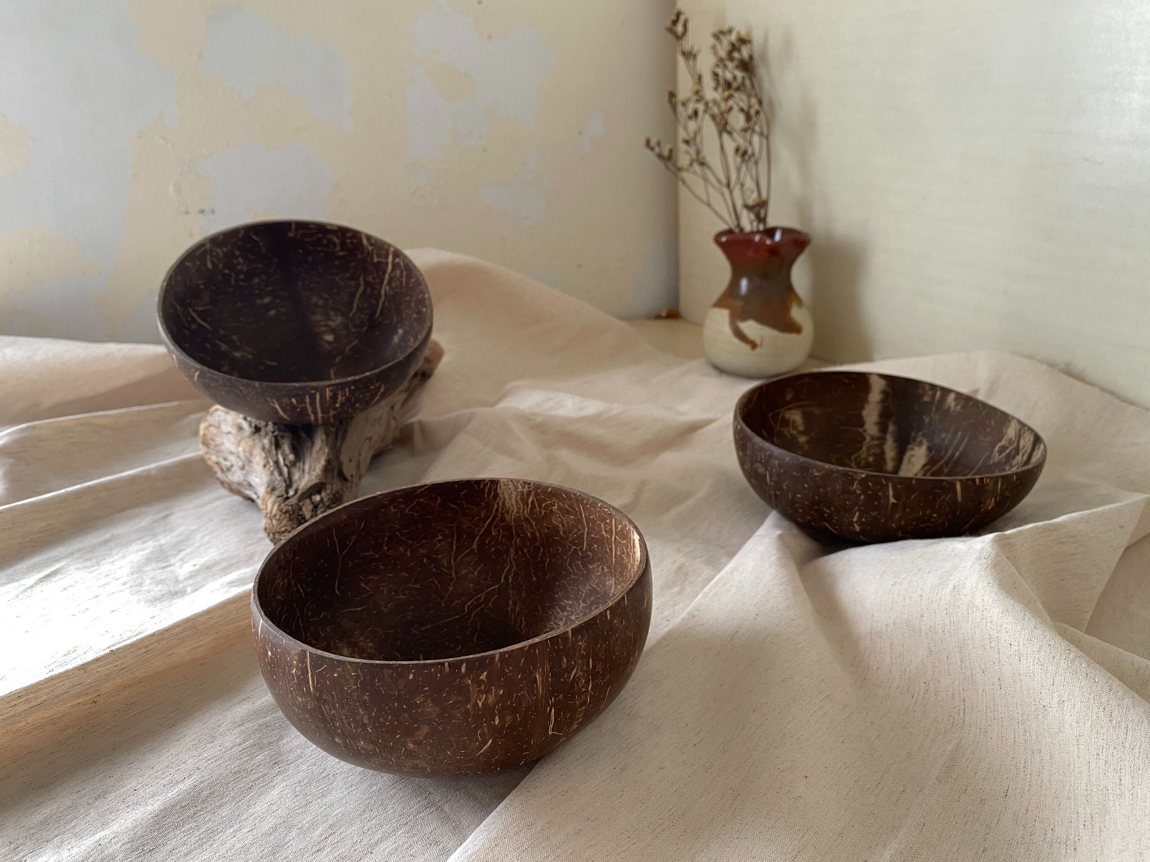 越南手工天然椰子殼碗