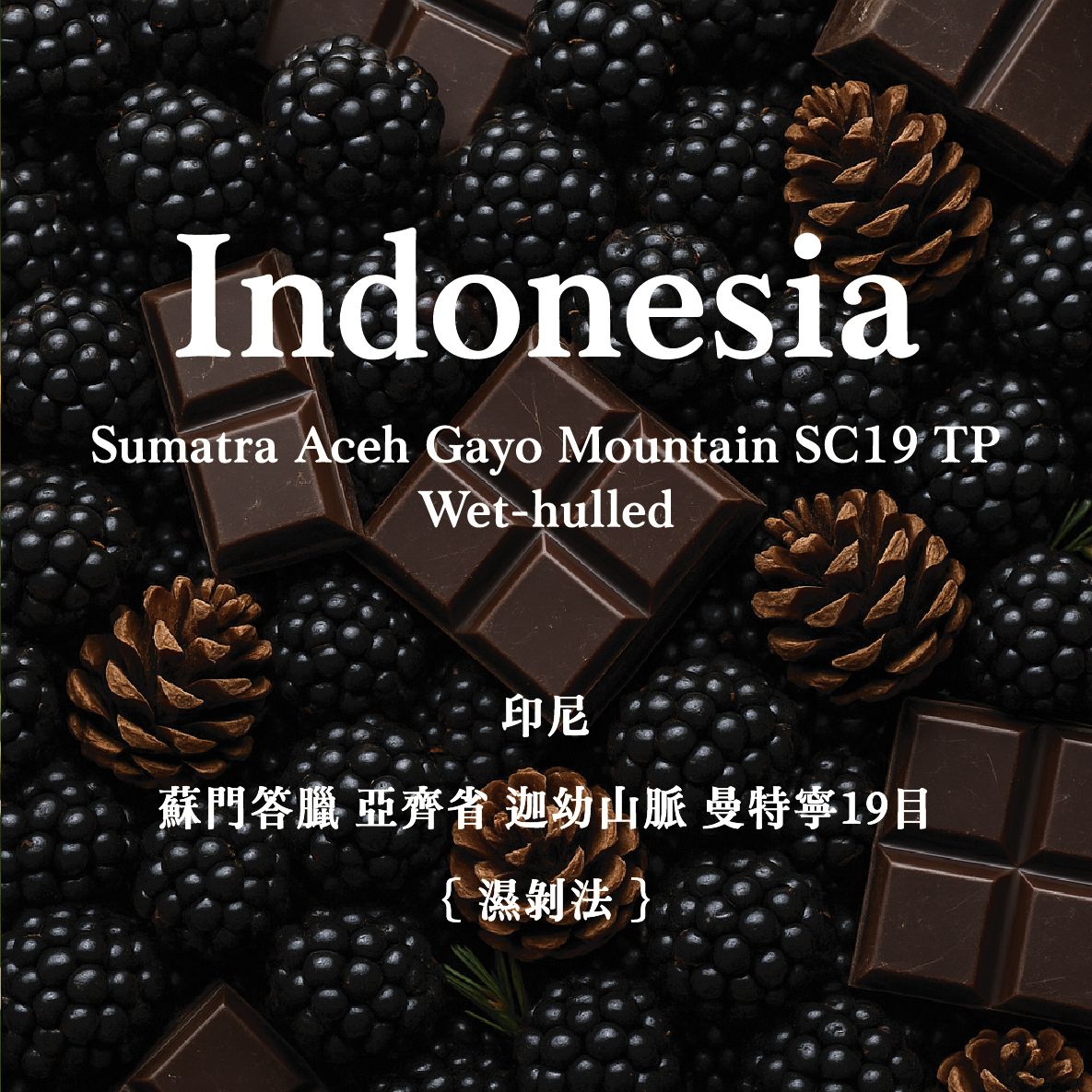 〚𝓝𝓮𝔀〛印尼 蘇門答臘 亞齊省 迦幼山脈 曼特寧 19目｜中深焙