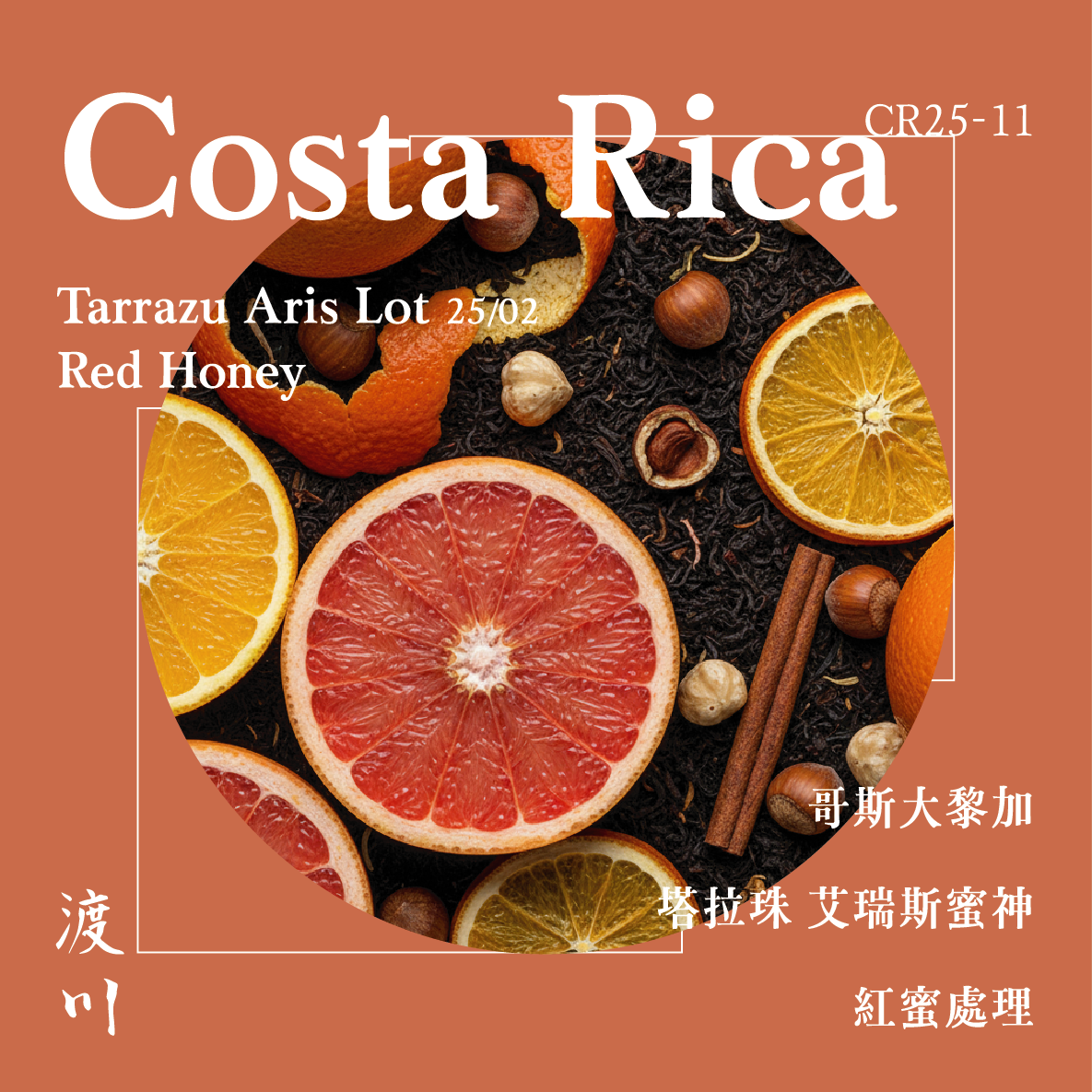 〚𝓝𝓮𝔀〛哥斯大黎加 塔拉珠 艾瑞斯蜜神 紅蜜｜中淺焙