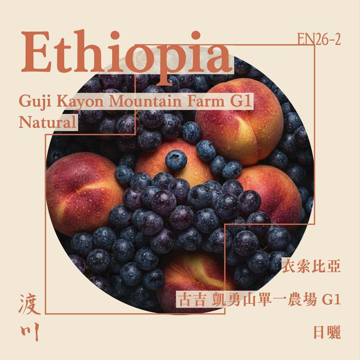 〚𝓝𝓮𝔀〛衣索比亞 日曬 古吉 凱勇山單一農場 G1｜淺中焙