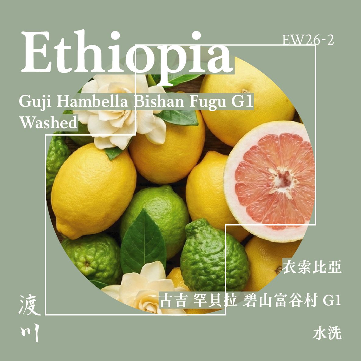 〚𝓝𝓮𝔀〛衣索比亞 古吉 罕貝拉 碧山富谷村 G1｜淺中焙