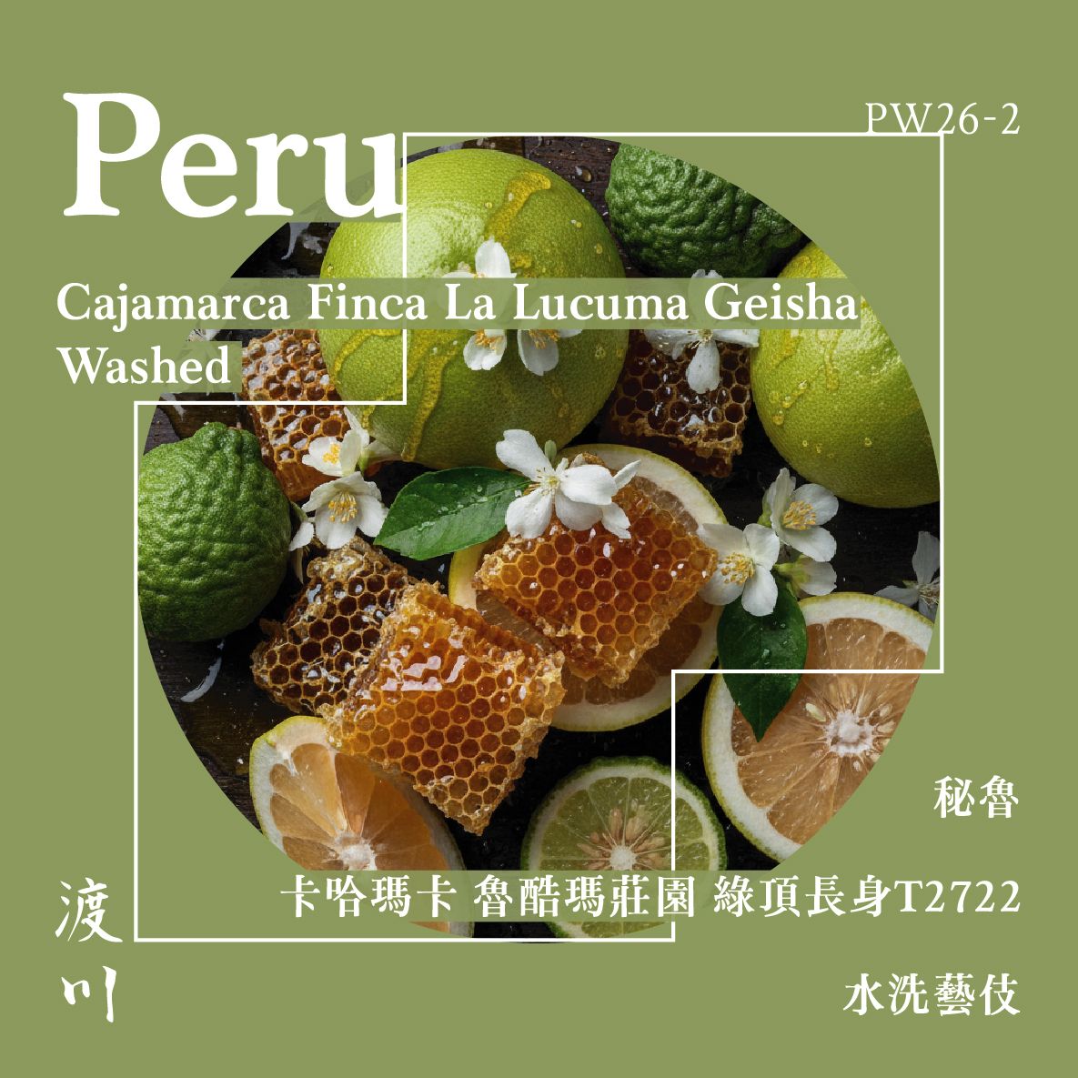 〚𝓝𝓮𝔀〛祕魯 卡哈瑪卡 魯酷瑪莊園 綠頂長身T2722水洗藝伎｜淺中焙