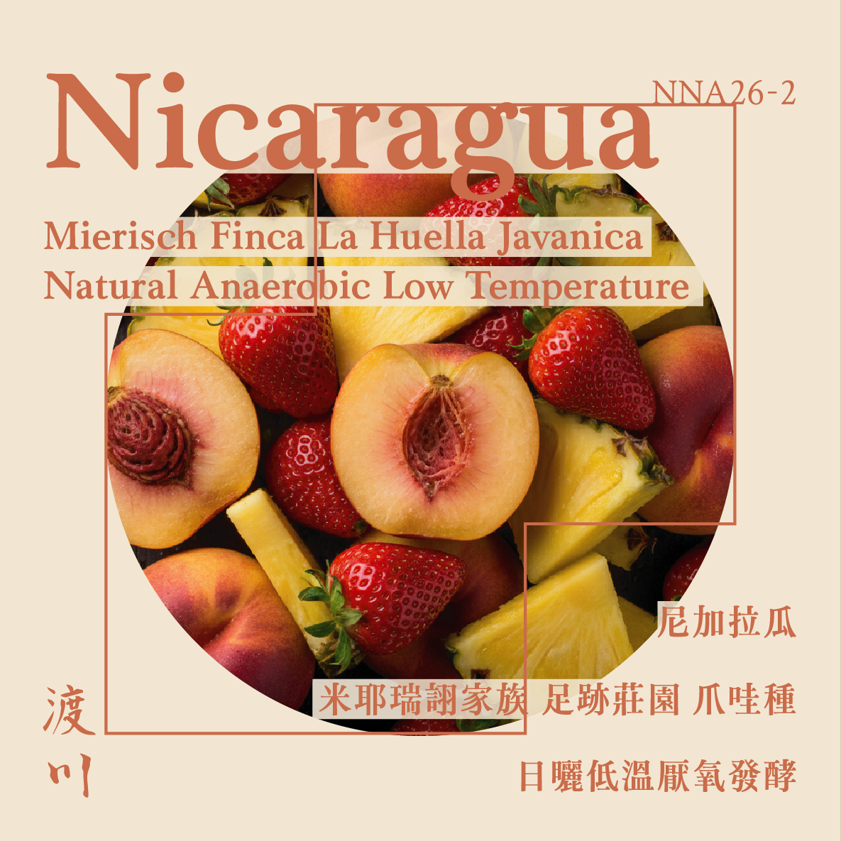〚𝓝𝓮𝔀〛尼加拉瓜 米耶瑞詡家族 足跡莊園 爪哇種 日曬低溫厭氧發酵處理法｜淺中焙