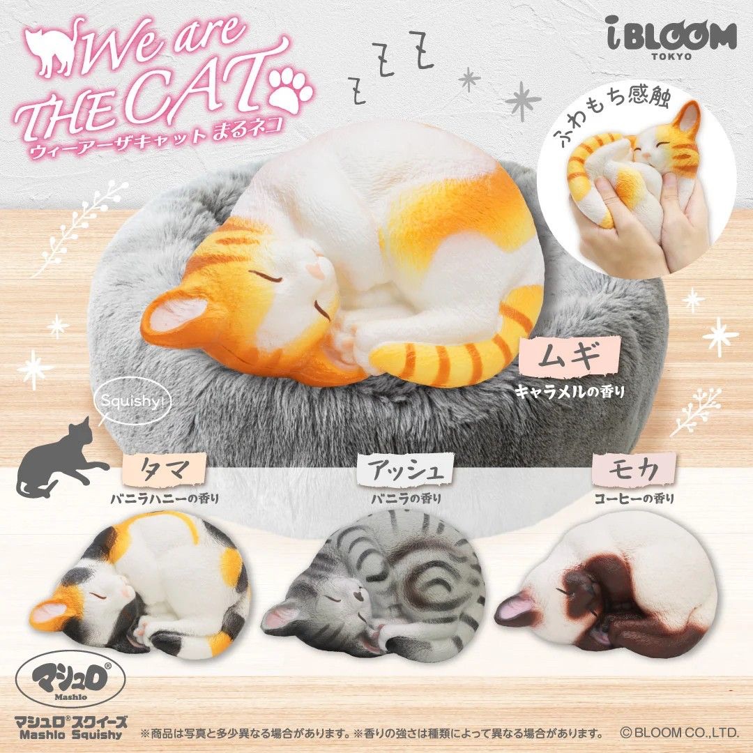 10/28【現貨】Ibloom蜷縮貓