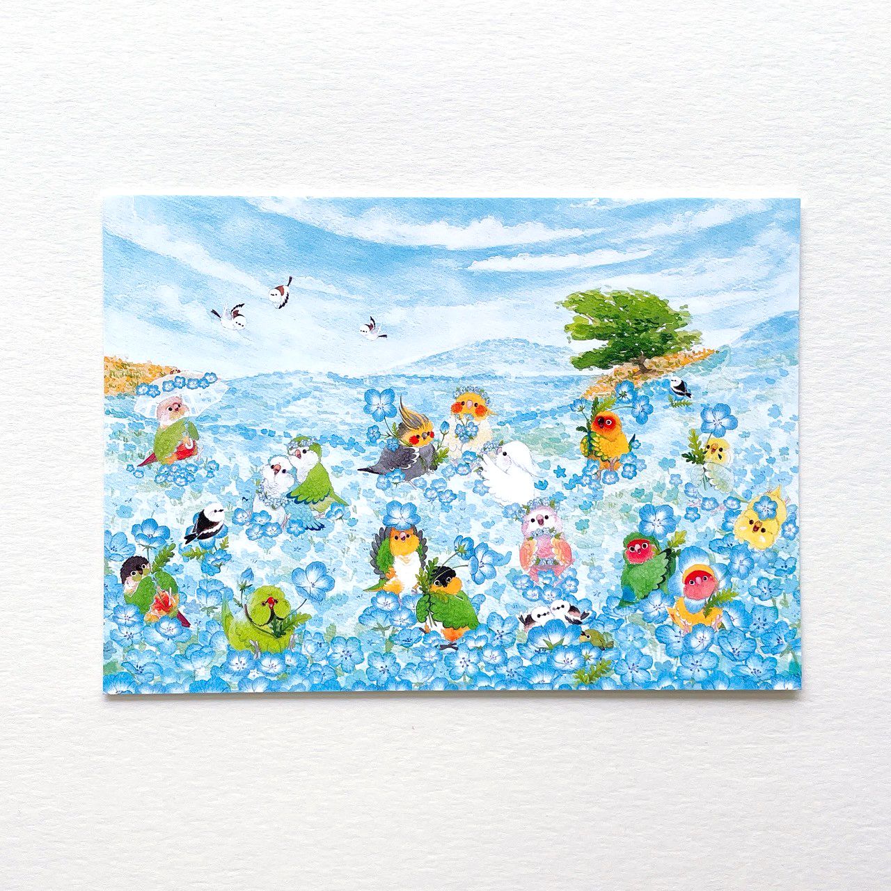 Rolia’s 手作 【粉蝶花系列】鸚鵡/鳥/山雀 明信片